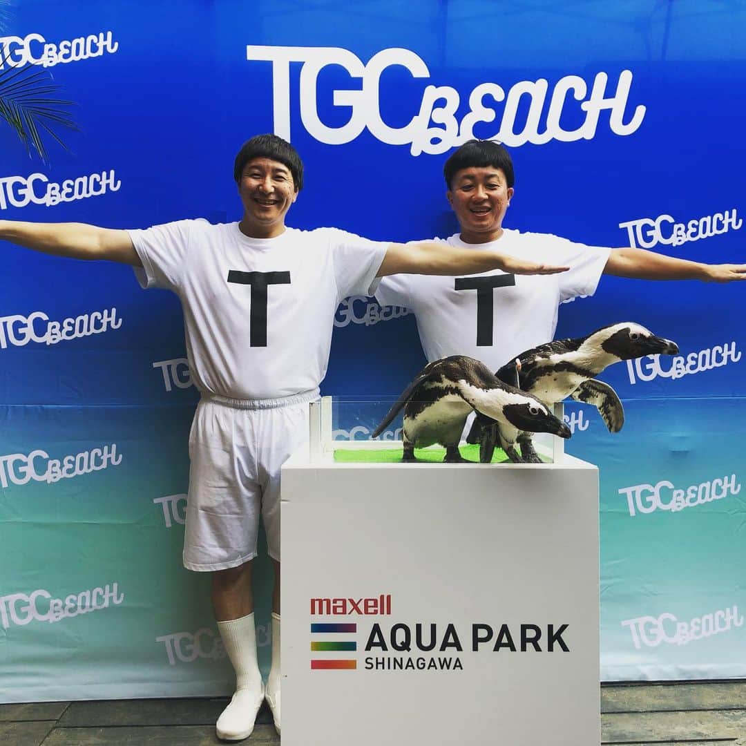 長田庄平のインスタグラム：「ペンギンとTーーー！！ TTでついてくるペンギン可愛過ぎた #TGC #tgcビーチ #tt兄弟  #ペンギン #夏」