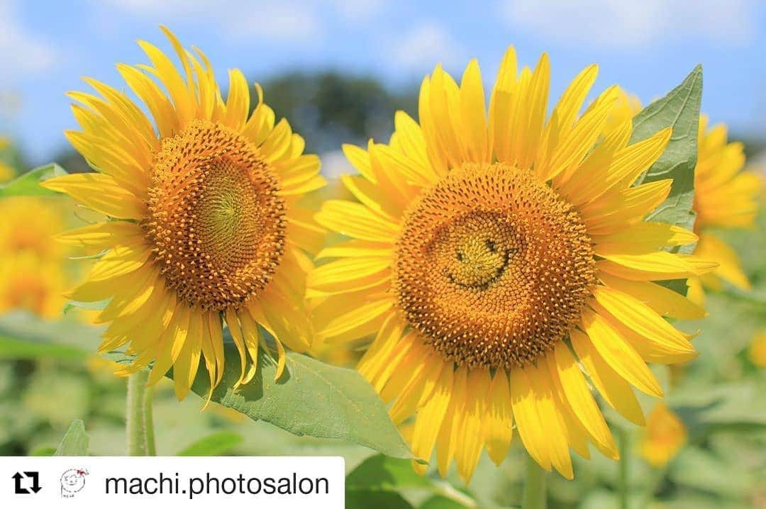 東京カメラガールズのインスタグラム