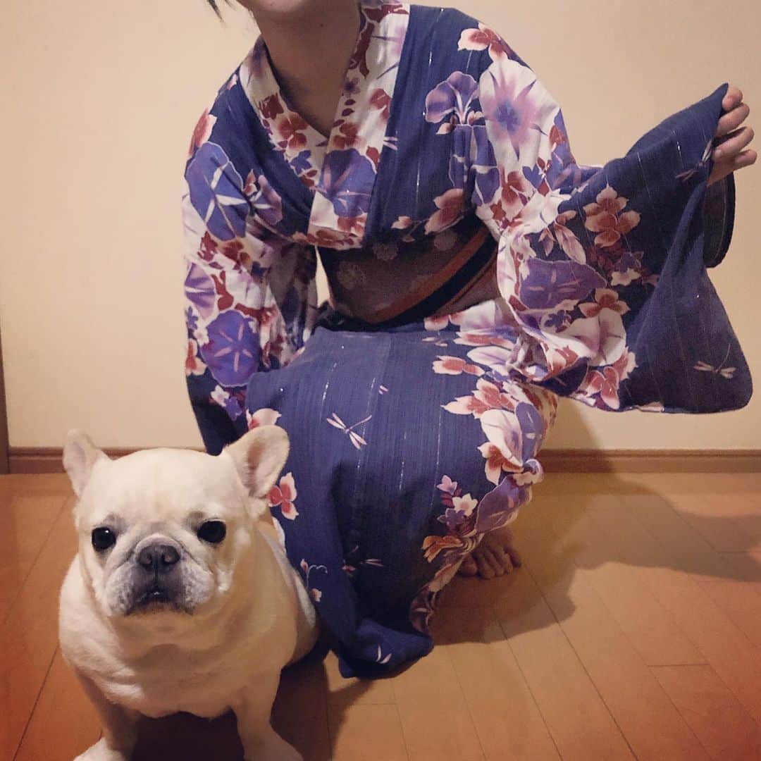 タニム（マーブル母）のインスタグラム：「* お祭り帰りの姉とマーブル💕夏だね〜👘✨ マーブル真顔で眉毛犬になってる😂 * #姉妹写真  #鎌倉ぼんぼり祭りに行った姉 #マーブルは父と母とお留守番」