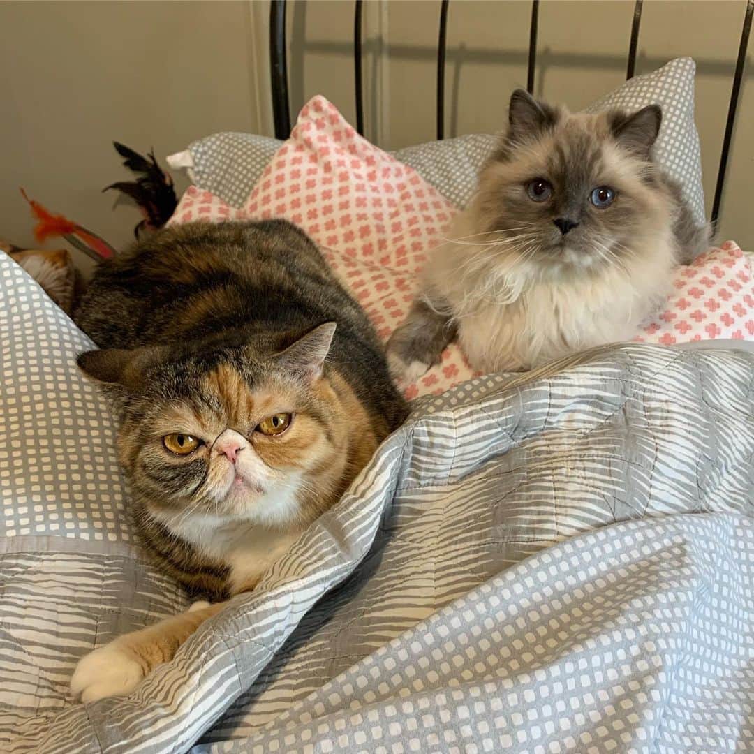 Tinaのインスタグラム：「Friday Mood. #FriYAY #BedAllDay」