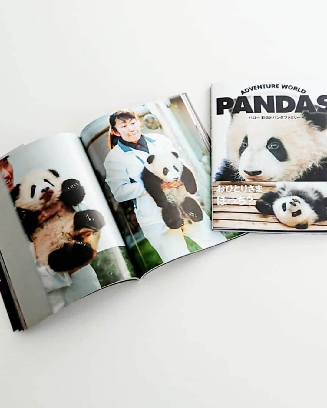 パンダ（白浜）さんのインスタグラム写真 - (パンダ（白浜）Instagram)「🐼 😊 #彩浜 & PANDA FAMILY's NEW BOOK! アドベンチャーワールド版カバーは良浜。彩浜の誕生日の14日からアドベンチャーワールドで発売スタート😊 #ADVENTUREWORLDPANDAS 🐼🐼🐼 #アドベンチャーワールドパンダ #baby #HELLOLITTLE #pandamental #hellopanda #ハローリトル #ハローパンダ #パンダグラビア and #panda #pandababy 🐼🐼🐼 ⭐︎『ADVENTURE  WORLD  PANDAS』新刊⭐️」8月9日 22時36分 - hellopanda_book