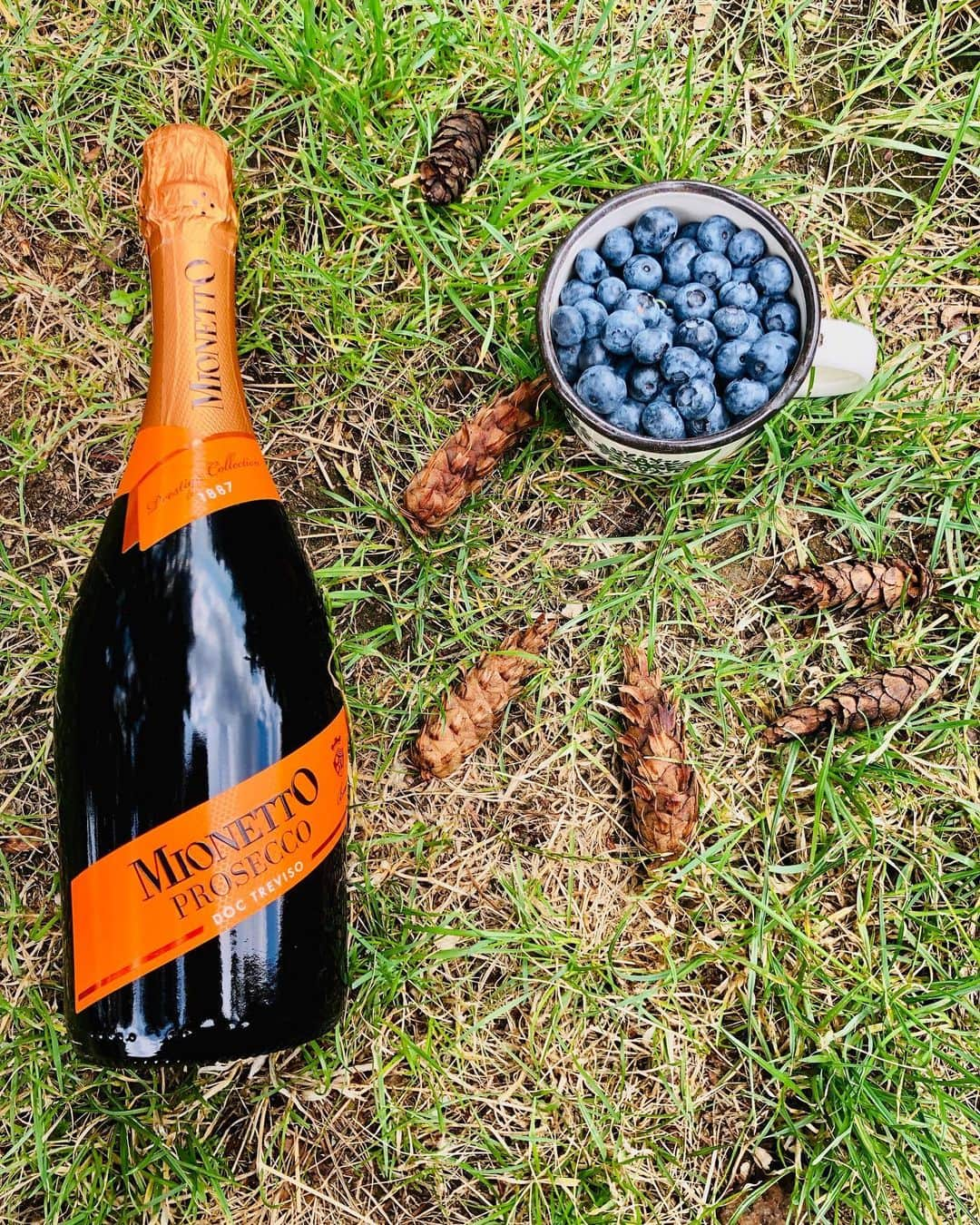 Mionetto Prosecco ČRさんのインスタグラム写真 - (Mionetto Prosecco ČRInstagram)「Taky milujete prázdninovou pohodu na vesnici? 🧡🍾🧡🥂🧡☀️#mionetto #mionettoprosecco #prosecco #nature #blueberry #summer #sunshine #summervibes #proseccovibes」8月9日 23時02分 - mionetto_cz