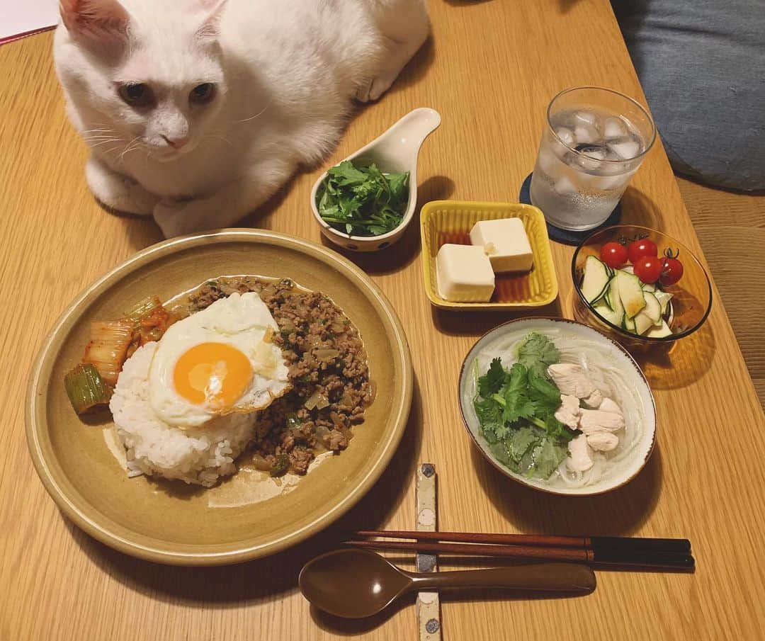 八、おこめさんのインスタグラム写真 - (八、おこめInstagram)「エキゾチックご飯❤︎ おこめ看守の監視下に置かれながら…お先によばれます〜🙏 ・豚肉でガパオ風 ・セロリキムチ ・ミニ、フォー ・ズッキーニとプチトマト ・冷奴 ・追いパクチー #八おこめ #ねこ部 #cat #ねこ #猫 #ネコ #八おこめ食べ物 #アジアご飯」8月9日 23時30分 - naomiuno