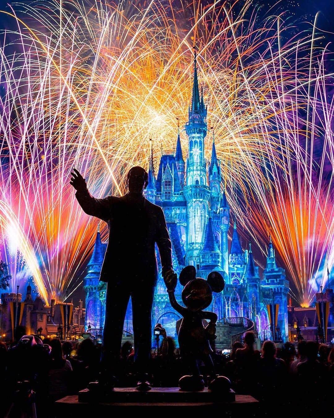 Walt Disney Worldのインスタグラム：「Reach out and find your Happily Ever After! 🎆🏰 #FireworksFriday #WaltDisneyWorld #HappilyEverAfter(📷: @somewareatdisney)」