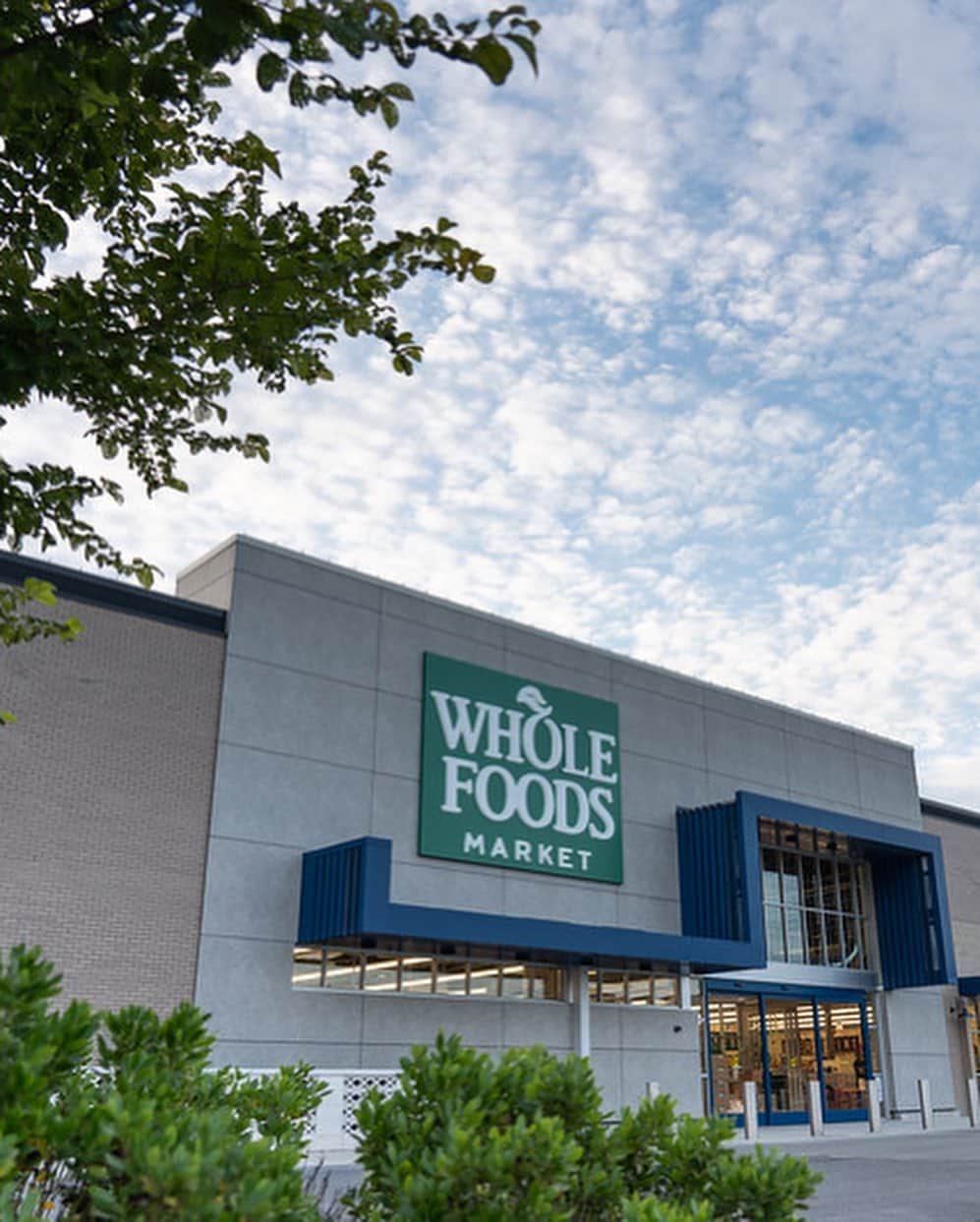 Whole Foods Marketさんのインスタグラム写真 - (Whole Foods MarketInstagram)「Now open in #Toledo, OH! We welcomed our 503rd store on August 7. This 30,000 square-foot location offers a wide selection of locally-sourced options, grab-and-go prepared foods and natural and organic grocery items. Customers can find fresh produce, seasonal hot and cold food bars, and an expansive selection of beer and wine. Enjoy a wide range of local suppliers with products like coffee beans from @actualcoffee, craft sauerkraut from @clekraut and frozen fruit pops from @chillpopshop. We’re open from 8 am to 9 pm daily – we can’t wait to meet you! #WholeFoodsToledo」8月10日 0時00分 - wholefoods
