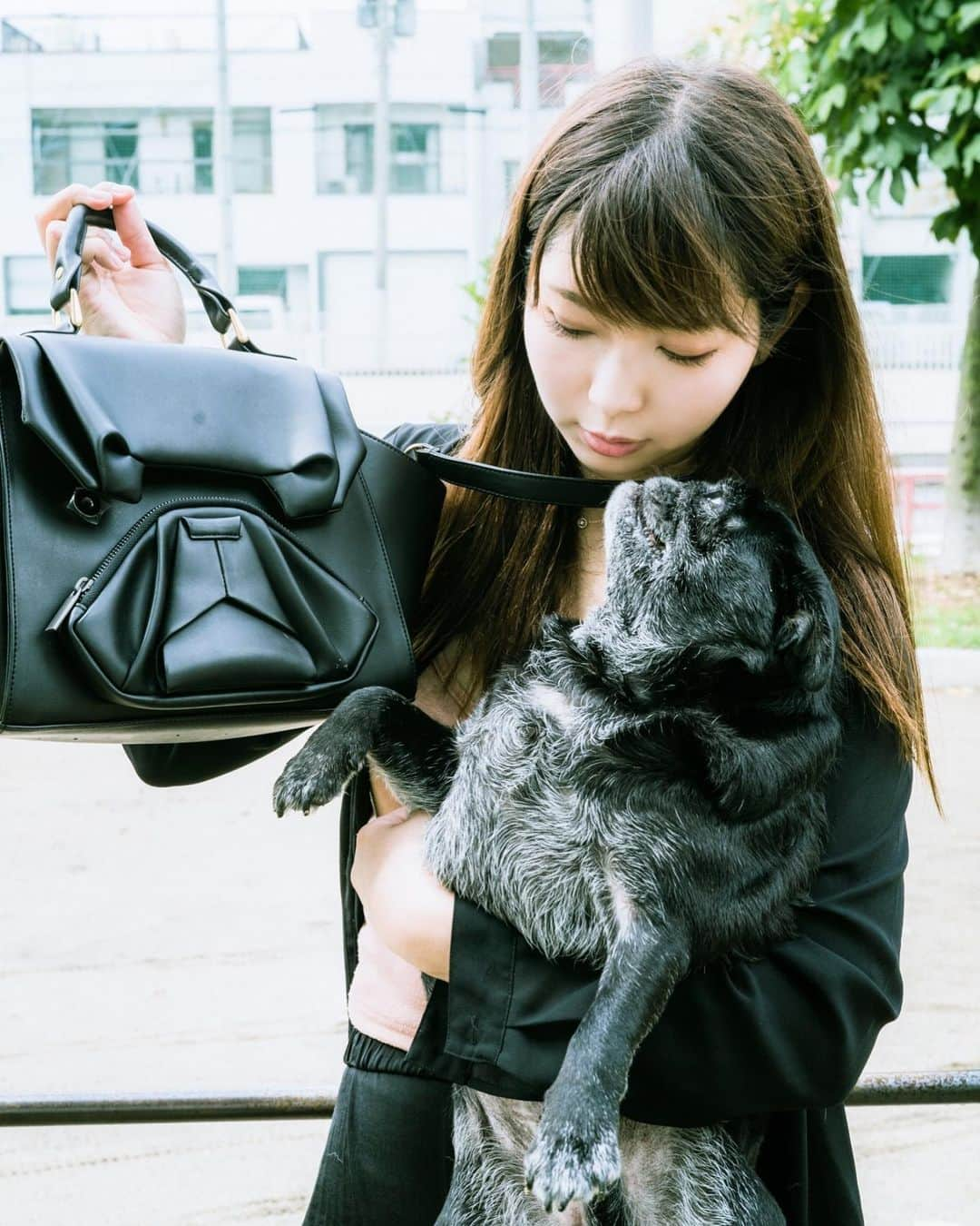 高田世莉菜さんのインスタグラム写真 - (高田世莉菜Instagram)「8/9はパグの日🐩❤︎ ORIBAGU－折り紙バッグ－ 👜 @oribagu 📷 @toru_matsunaga  #パグ #Pug #ORIBAGU #折り紙バッグ #ペチャ #pecha  #パグの日」8月10日 0時02分 - serina_0531