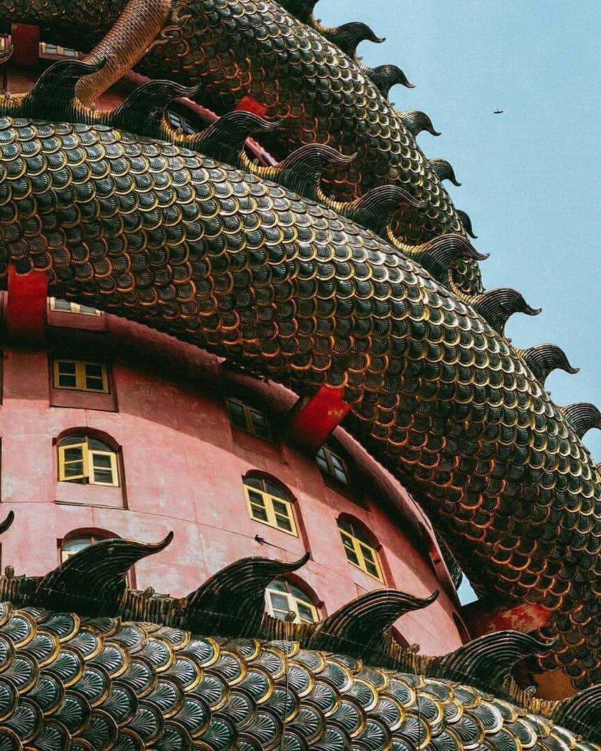 Discover Earthさんのインスタグラム写真 - (Discover EarthInstagram)「‘Enter the Dragon’ 🐲 literally. You can actually walk up through this Dragon to the top.  Wat Samphran is a Buddhist temple in Amphoe Sam Phran, around 40 kilometers to the west of Bangkok. 🇹🇭 — 📍#DiscoverThailand — 📸 Photos by @itsnedkelly ft. @teganphillipa」8月10日 0時23分 - discoverearth