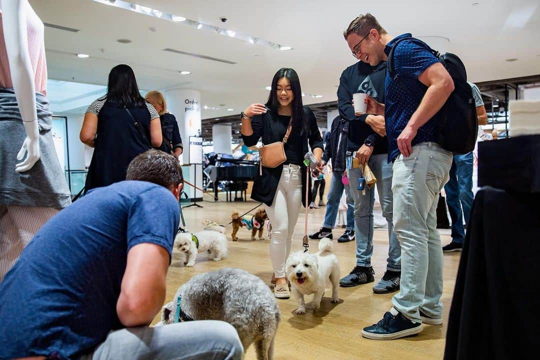 Nordstromさんのインスタグラム写真 - (NordstromInstagram)「Say hello to our most adorable Pop-In@Nordstrom yet! A one-stop-shop to best spoil your furry friends, Pet Shop from #NordstromPop offers toys, treats, clothes and accessories (plus personalization!) for the #1 pet in your life. Stop by #nordstromseattle or head to the link in our bio to shop the product now.」8月10日 10時57分 - nordstrom