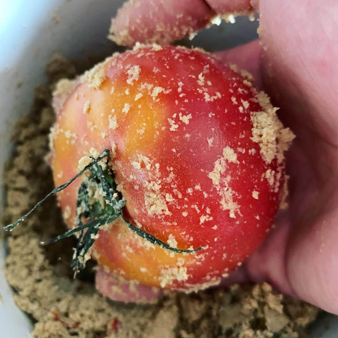 松藤和成さんのインスタグラム写真 - (松藤和成Instagram)「朝ご飯のお供に。 うまかったー 連休楽しんでくださーい🙃」8月10日 11時09分 - kazunari_mojiko