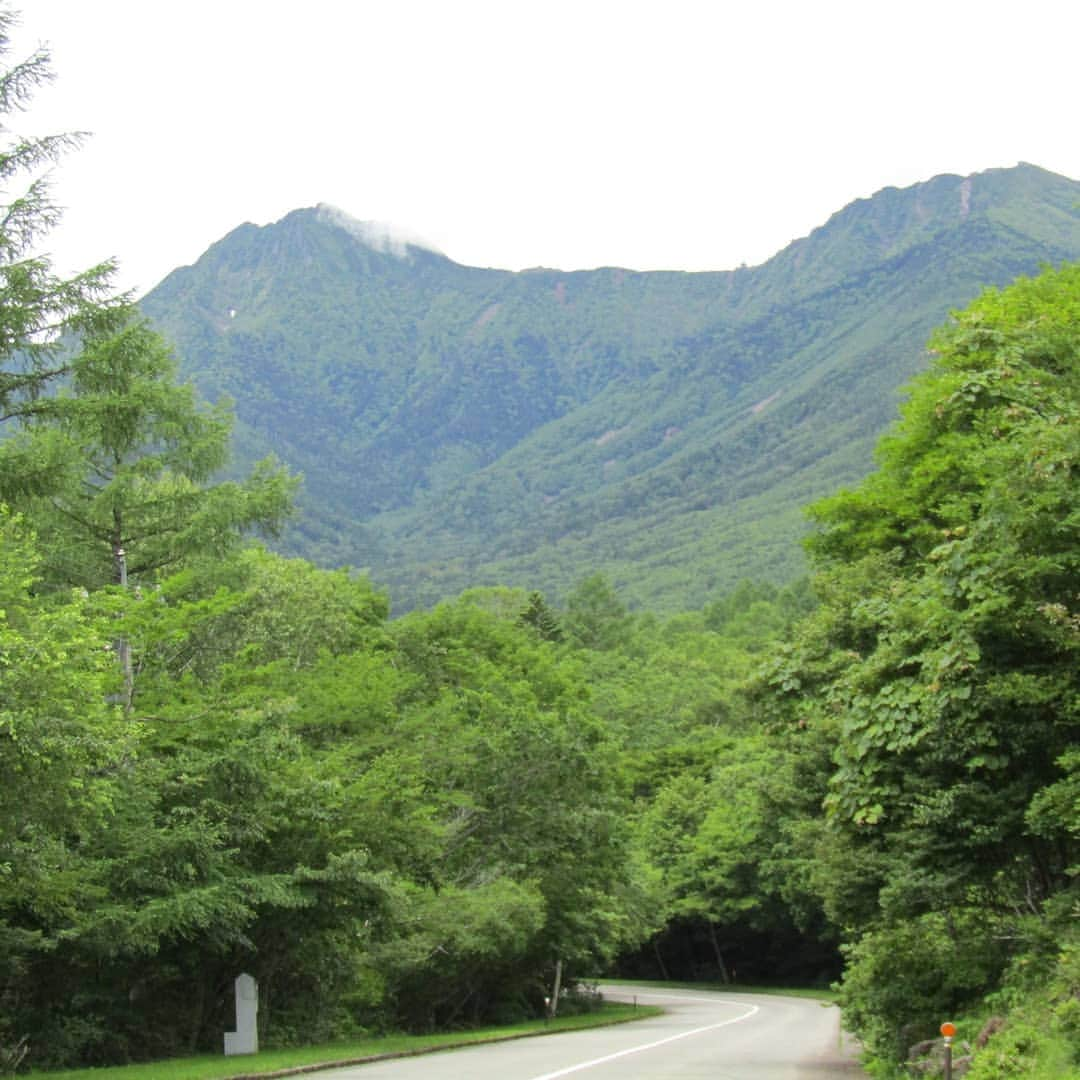 【公式】八ヶ岳高原ロッジ・八ヶ岳高原音楽堂さんのインスタグラム写真 - (【公式】八ヶ岳高原ロッジ・八ヶ岳高原音楽堂Instagram)「八ヶ岳高原ロッジの周辺には、散策路をご用意しております。 なだらかな勾配で、ご自分のペースに合わせて、お楽しみください。  #八ヶ岳高原ロッジ #散策路 #さんぽ道  #雑木  #自然」8月10日 11時55分 - yatsugatake_kogen_lodge