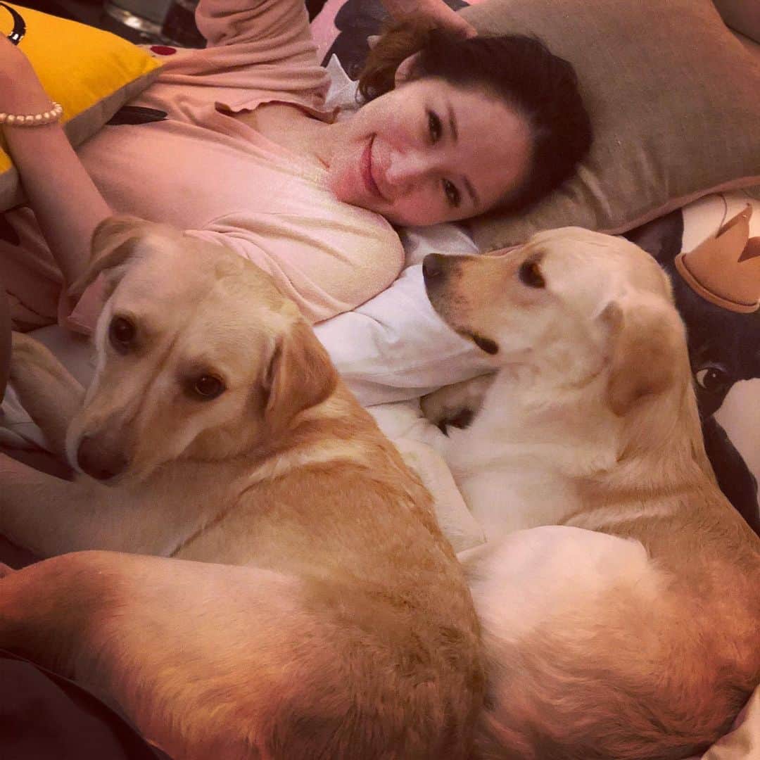 エルヴァ・シャオのインスタグラム：「We woke up like this 👩‍👩‍👦‍👦🐶🐶🐶🐶」