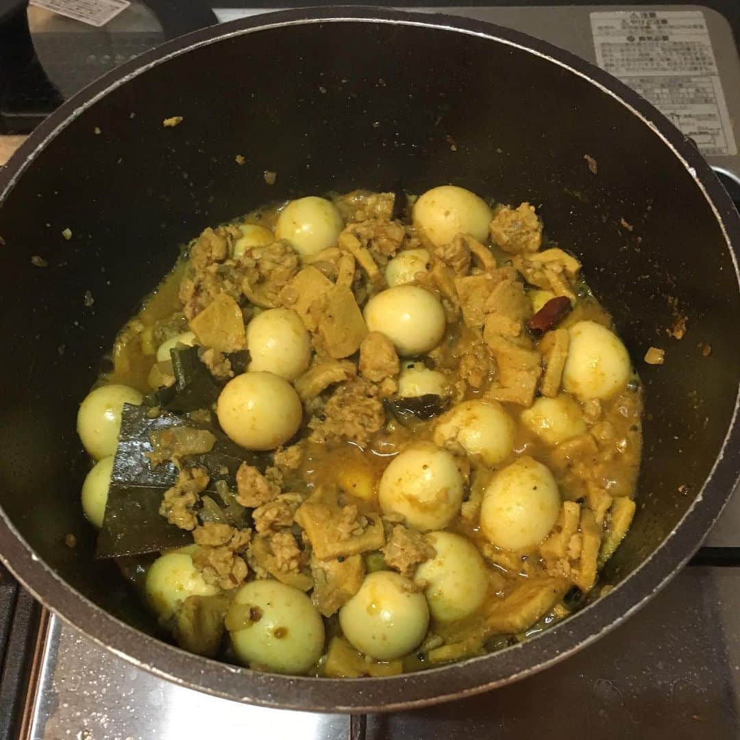 トータス松本のインスタグラム：「暑い！ 鶏ひき肉とうずらの卵と高野豆腐のキーマカレー。 これ、見た目はアレだがウマウマです！高野豆腐、いい仕事してる。際立つ謎肉感！ #うずらの卵 #大好き #高野豆腐 #期待通り #ちなみに #スイカカレーはたぶんもう作らないと思います #わざわざ」
