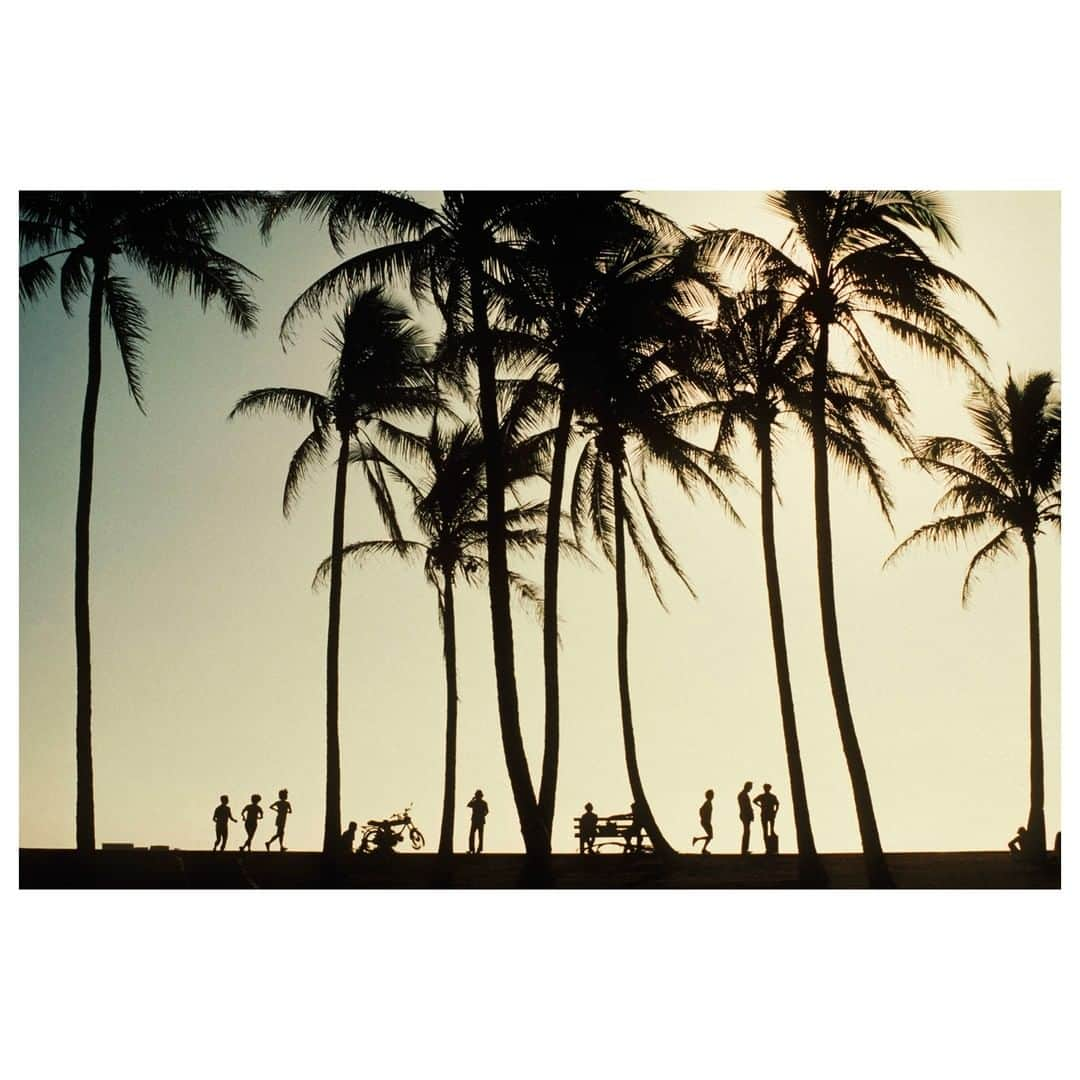 Magnum Photosさんのインスタグラム写真 - (Magnum PhotosInstagram)「Today on Magnum: Ahead of the 60th anniversary of the Hawaiian islands becoming a US state, we look back on Dennis Stock’s photos as we reflect on its rich landscape and cultural history. Link in bio. . PHOTO: Queen's Surf beach Park, Waikiki, Island of Oahu, HI, USA. 1980. . © #DennisStock/#MagnumPhotos . #Hawaii」8月10日 4時01分 - magnumphotos