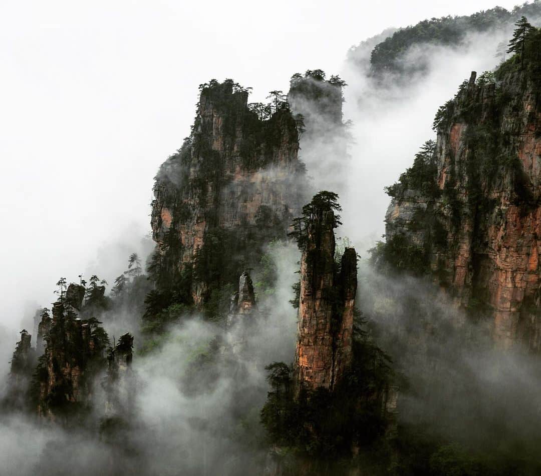 Michael Yamashitaさんのインスタグラム写真 - (Michael YamashitaInstagram)「Tianzi Mountain Nature Reserve: One of four scenic spots in the larger Wulingyuan Scenic and Historic Interest Area, a UNESCO World Heritage Site. Quartz sandstone pillars shrouded much of the time in mist make this appear like a classical landscape painting. The rains came and brought in the fog, but it is never an easy shoot. After long waits, clouds parted, revealing this quintessential landscape. #Zhangjiajie #TianmenMountain #Wulingyuan #Hunan」8月10日 4時32分 - yamashitaphoto