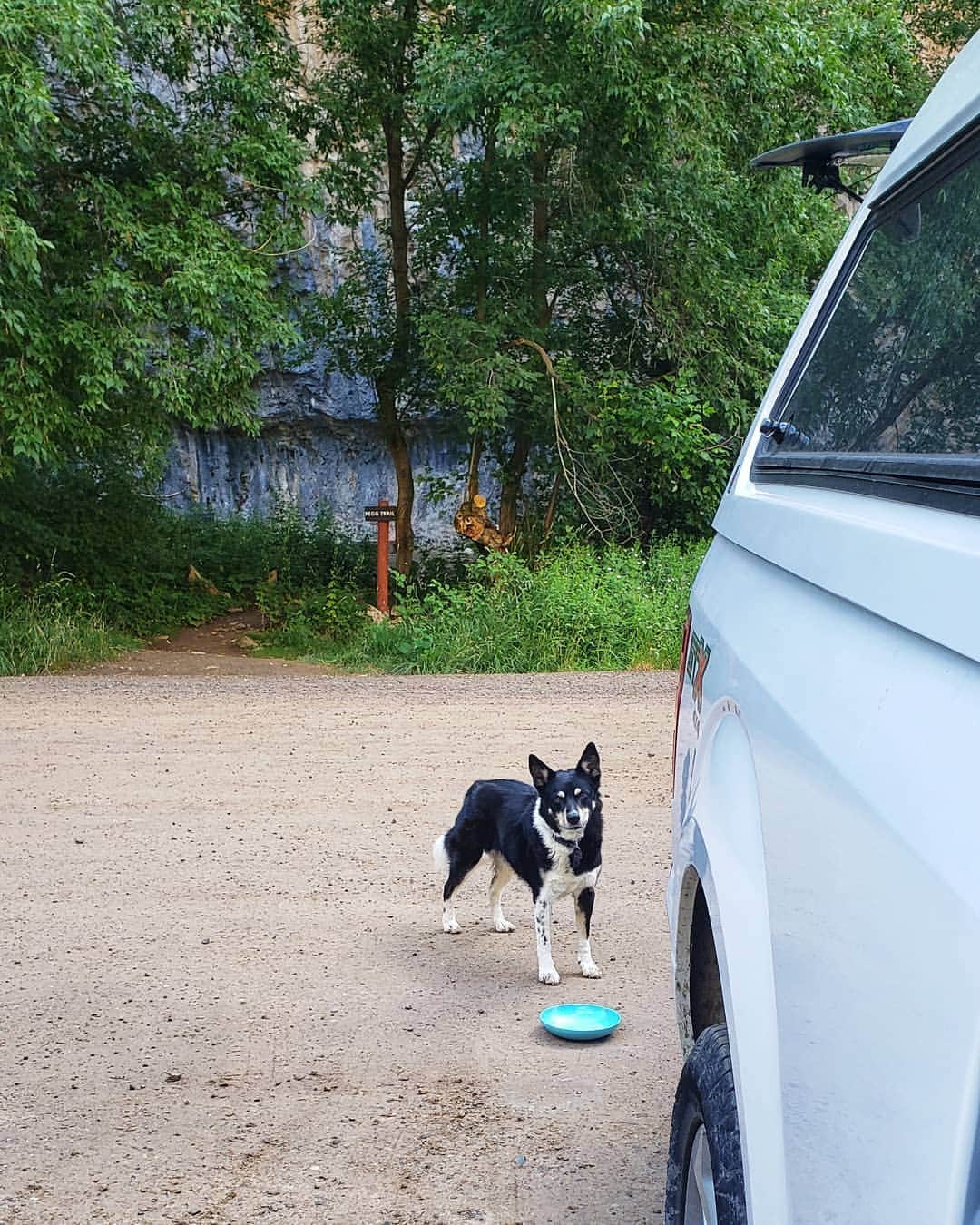 ペイジー・クラッセンのインスタグラム：「Rifle, in a nutshell. Living the simple life out of the truck with one of my best friends and dog friends. A big contrast to the not so simple real life of this moment. Highlights included sending my intro proj (Living in Fear, 5.13d, holy pump!), watching Real Deal Neel (@neelyquinn) make real deal progress on her proj, petting Zala (pictured), and getting heat rash. Cool!」
