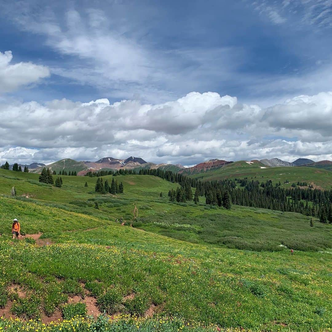 エミリー・スワローさんのインスタグラム写真 - (エミリー・スワローInstagram)「I’m on a #rockymountainhigh!  #engineermountain treated us to spectacular wildflowers, glute-killing ascents and a just-in-the-nick-of-time escape from a thunderstorm.  Nature, you’re cool.  #godsglory #rockymountains #engineermountaintrail #cantstopwontstop #naturegirl #wildflowers」8月10日 5時58分 - bigeswallz