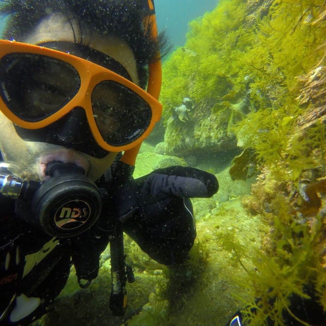 黒岩唯一さんのインスタグラム写真 - (黒岩唯一Instagram)「潜ってすぐに、白色のタツノオトシゴに会えました！！ 良いことありそうです！！ #白タツ  #越前初ダイブ #良い事ありそう  #ラッキー  #fun  #黒岩唯一  #evis.diving」8月10日 6時44分 - tadakazukuroiwa