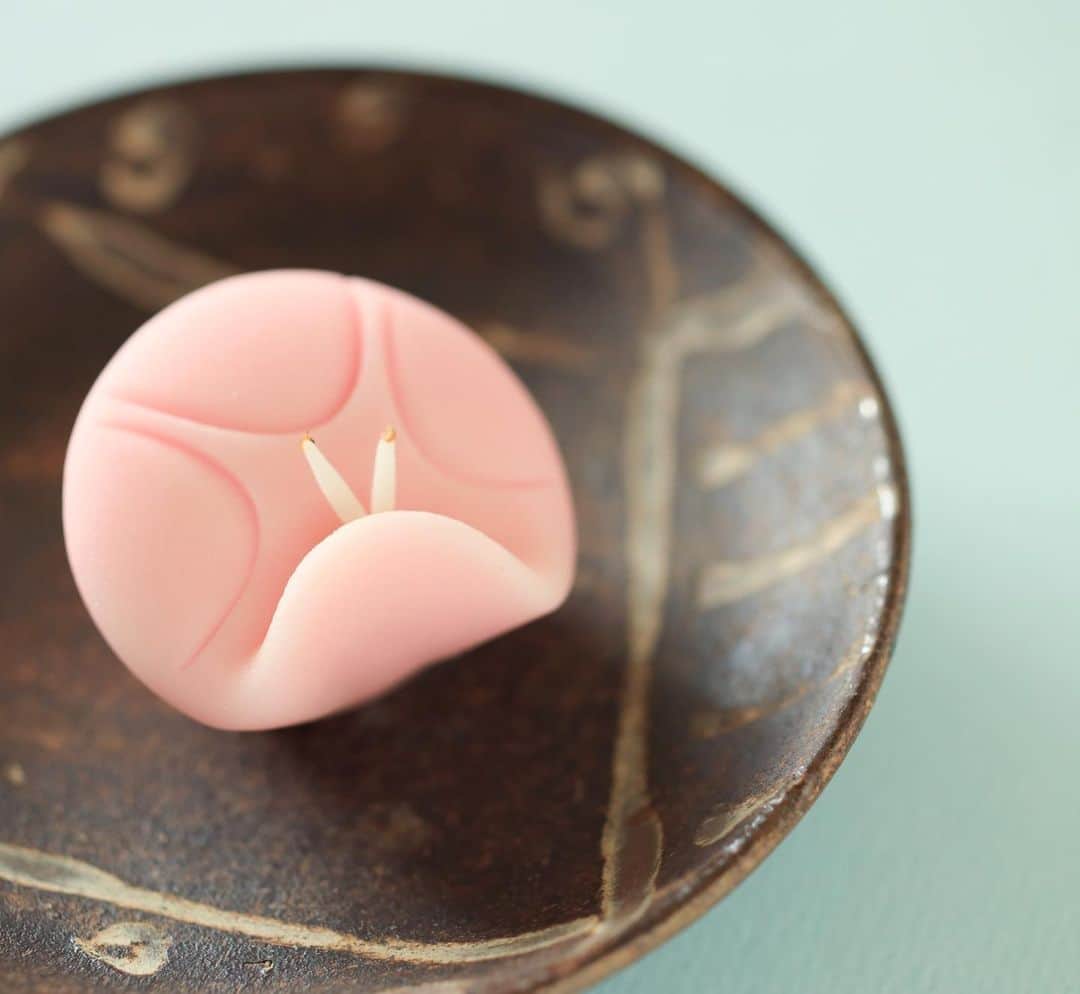 のインスタグラム：「今日の和菓子はねりきりで作った朝顔です。 ねりきりとは白餡に餅や芋を混ぜて作った和菓子で 茶道 で使われる「主菓子」の一種です。 撮影 用に作成しました。 今年度はPTAの関係もあり文章を書く機会が多いです。 もともと文章を書くことが苦手ですが 読書感想文は本を読むことなく書いていました。 あらすじとあとがきだけを参考にします。 逆に案外、文才があるのかもしれません。 フェイスブックページのいいね！もよろしくお願いします。 https://www.facebook.com/shishisu/ Today's wagashi is morning glory with Nerikiri. The Nerikiri is the material of wagashi made by mixing the rice cake and yam in white bean. Is a kind of "Jounamagashi" as used in the tea ceremony. The sweets I've made for the shooting.  #福泉堂  #和菓子  #おいしい #funny #my_eos_photo #出雲  #wp_delicious_jp #カメラ好きな人と繋がりたい  #写真好きな人と繋がりたい　 #model #handmade　 #as_archive #Japan #wagashi  #جميل #красивый #ファインダー越しの世界 #design #work #ig_color  #일본디저트  #Mignon  #igfood #lifestylenipponpic #photooftheday #สวย #sweets #kawaii #夏」