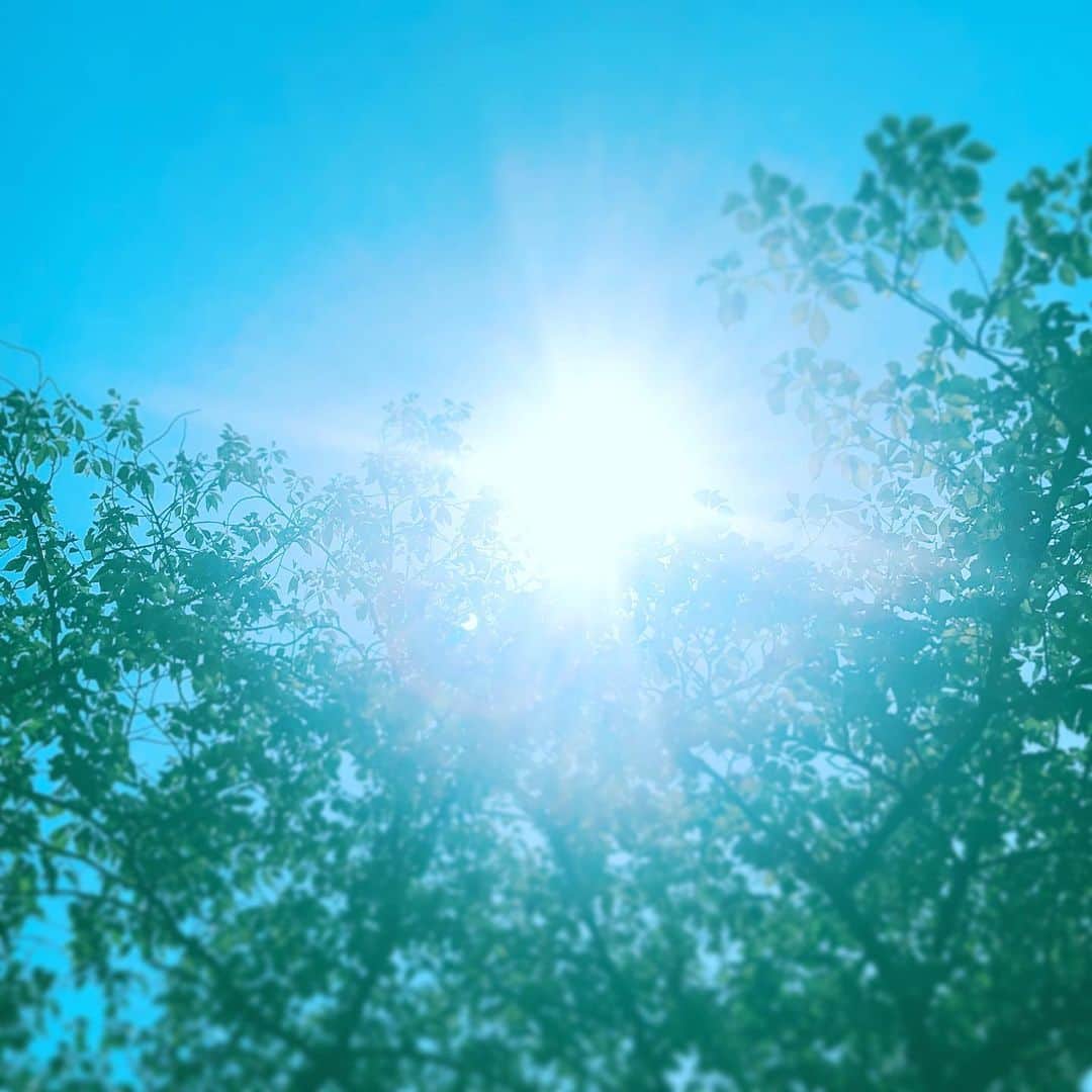 中野敬久さんのインスタグラム写真 - (中野敬久Instagram)「#sun #thesunisyourenemy #light #summer #saturday #haveaniceday」8月10日 7時03分 - hirohisanakano