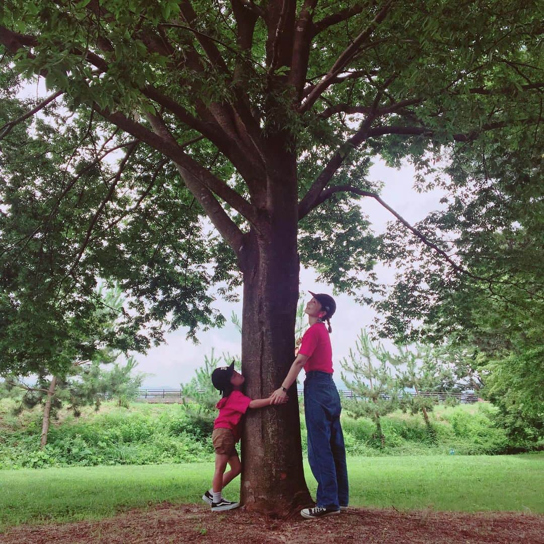 ナカイシミキさんのインスタグラム写真 - (ナカイシミキInstagram)「大切な人と一緒に木を抱きしめる#HALIPUU ポーズ👫  HALIPUU=フィンランド語で”木を抱きしめる”という意味🌳  FSCが行なっている大切な人と木をハグする投稿をシェアして、 大切な人と同じように木を守るためにできることを していこうというキャンペーンです🌈  おなじみの明治のきのこの里🍄やたけのこの里🎍にもFSCマーク🔎 ↓FSCマークとは  適切に管理された森林の木材から作られた製品であることを証明するマーク  環境問題が身近でも気になる今、FSCマークの付いたものを選ぶだけで、今まで通りの生活をしながら、無理なく気軽に森の豊かな恵みを未来へつなげることができます🌎  皆さんも是非ハッシュタグから参加してみてください💁‍ #HALIPUU#HALIPUUの森#HALIPUU_green#ハリプーキャンペーン#FSC#フォレストウィーク2019#FSC_Japan#PR#明治#きのたけ #きのこたけのこ  @fsc_fw2019」8月10日 7時21分 - mikivicious