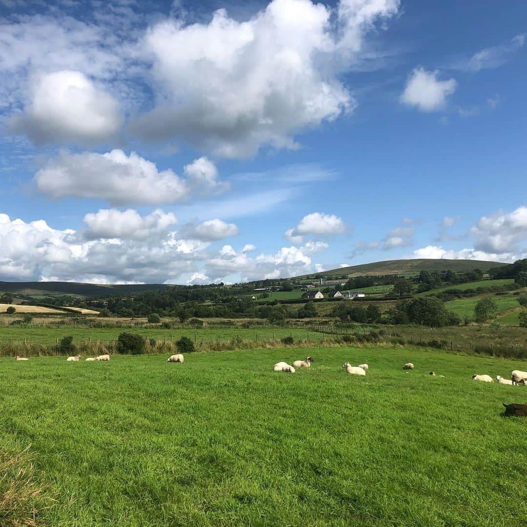 ニコラさんのインスタグラム写真 - (ニコラInstagram)「On the road again〜Northern Ireland〜 (かくのが遅くなっちゃったけど1週間前の旅行)  前回は南の方へ行ったので 今回は北の方に行ったよー☝︎ 北アイルランド🇮🇪はイギリスに属しているので パスポートが必要か❓と思い持参したものの。 パスポートはいらなかったのだ！ 壁とか料金所みたいなのとかイミグレーション的なのがあるのかと思いきや、なにもなく、。 border townみたいな町はあった。しかしborderは目に見えんかった❗️気づいたらイギリスにおるのです。 しかし油断大敵、ひとたびアイルランド を出れば 電波が皆無になるからおきをつけ😳  dublinのシティから車で3〜4時間くらい(だっけ？)して、アイルランド の最北端の地にたどり着いたのは午後4時頃。。 Marine headと呼ばれる土地はアイルランド (イギリスだけど)にふさわしく、曇りが似合う場所❗️ 鬱陶しいほどの海風と自然が作り上げた不思議なlandscape、そしてbreath takingな大自然。。 予定では滞在は1時間程度と思われたが、なんとも魅力的で2時間以上居たかな？  旅行にいくと毎回思うけど、写真じゃなにも伝わらないのよね。 (でもyusakの一眼はさすが)  キワどいところや美しいところでたくさん写真をとり、 ヒルに襲われながらお散歩を楽しんだ我々一行は再び車に乗り込み Mr air bnbことyusak choiceのaccommodationへ🌟  こちとらも前回に負けず劣らずの大自然、そしておうちの周りには牛さん、ひつじさん、おうまさん、猫ちゃんたち❗️ニコ特すぎまる❤︎ てな感じで夜中はみんなで酒飲みながら激辛ラーメンチャレンジじゃんけんして、疲れ切っておやすみグンナイ。。 余談だけど、我々が小学生のとき2ちゃんねるのモスカウのやつものすごい流行ってたんだけどみんな知ってるかな？yusakとkeiに言ったらなんも伝わってなくてジェネレーションgap感じちゃったナ。。 あれって地域で差があるのかな？ 千葉！滋賀！佐賀！とかちょー流行ったよね……？ #北アイルランド#malinehead#モスカウ」8月10日 7時34分 - nicolax27