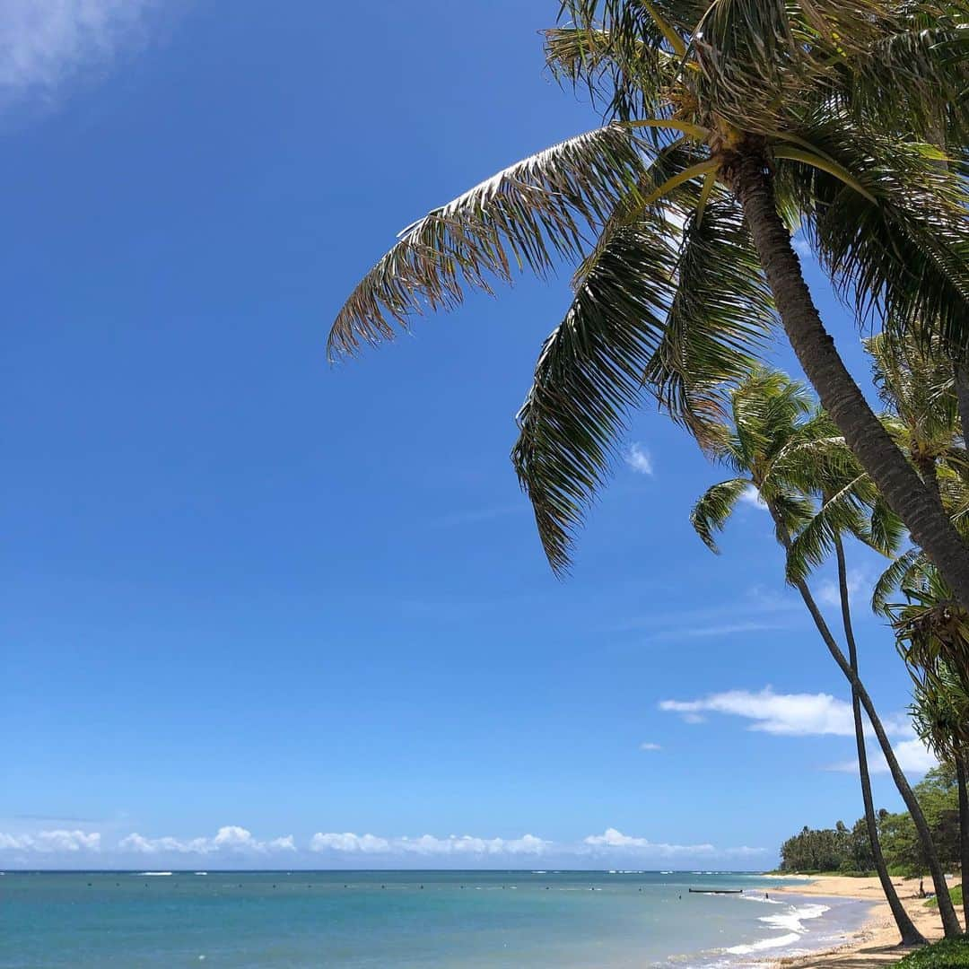 滝川その美さんのインスタグラム写真 - (滝川その美Instagram)「なんて気持ちの良い景色🏖 風と波の音に癒される。 やっぱりハワイが好きだーっ💕 #ハワイ#ハワイ旅#パーティに行ってきたよ」8月10日 8時16分 - iam_sonomi_official