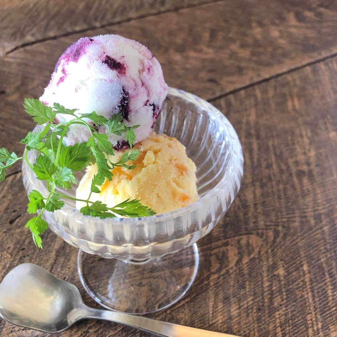 のインスタグラム：「【手紙舎つつじヶ丘本店】 おはようございます。本日も11：00からオープンいたします。本店では、自家製アイスクリームの2種盛りをご用意しております。ただ今は、ブルーベリー、オレンジ、バニラ、チョコの中から、お好きなお味を2種類お選びいただけます。ひんやりスイーツで、涼みませんか？お立ち寄りをお待ちしております。 . ※8月12日(月祝)は営業いたします。13日(火)はお休みをいただき、14日(水)から通常営業となります。 . 本店では、平日のみお席のご予約をお受けしております。11:00-12:30の間にご来店のご予約に限らせて頂いておりますが、ぜひお気軽にお問い合わせください。 .  手紙舎つつじヶ丘本店  tel 042-444-5331  open 11:00-18:00 (LO17:30)  定休日 毎週月・火 . 2019.8.10.土 . #手紙舎#手紙社#tegamisha#柴崎#つつじヶ丘#つつじヶ丘本店#手紙舎つつじヶ丘本店#調布#調布カフェ#神代団地#神代団地商店街#コーヒー#珈琲#coffee#cafe#tokyocafe#アイスクリーム#自家製アイスクリーム」