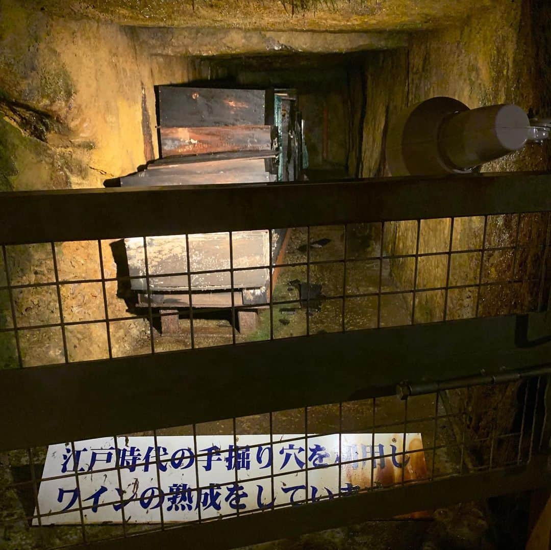 橋本昌彦さんのインスタグラム写真 - (橋本昌彦Instagram)「生野銀山。神戸からだと約1時間半。 ここへは一度訪れる価値ある場所です。  中は13度。 真夏なのにびっくりするほどの寒さです。 歴史、そして、ここに携わった方々の苦労を感じることができました。  #生野銀山 #朝来 #観光スポット #涼しい #夏休み」8月10日 9時25分 - masahikohashimoto