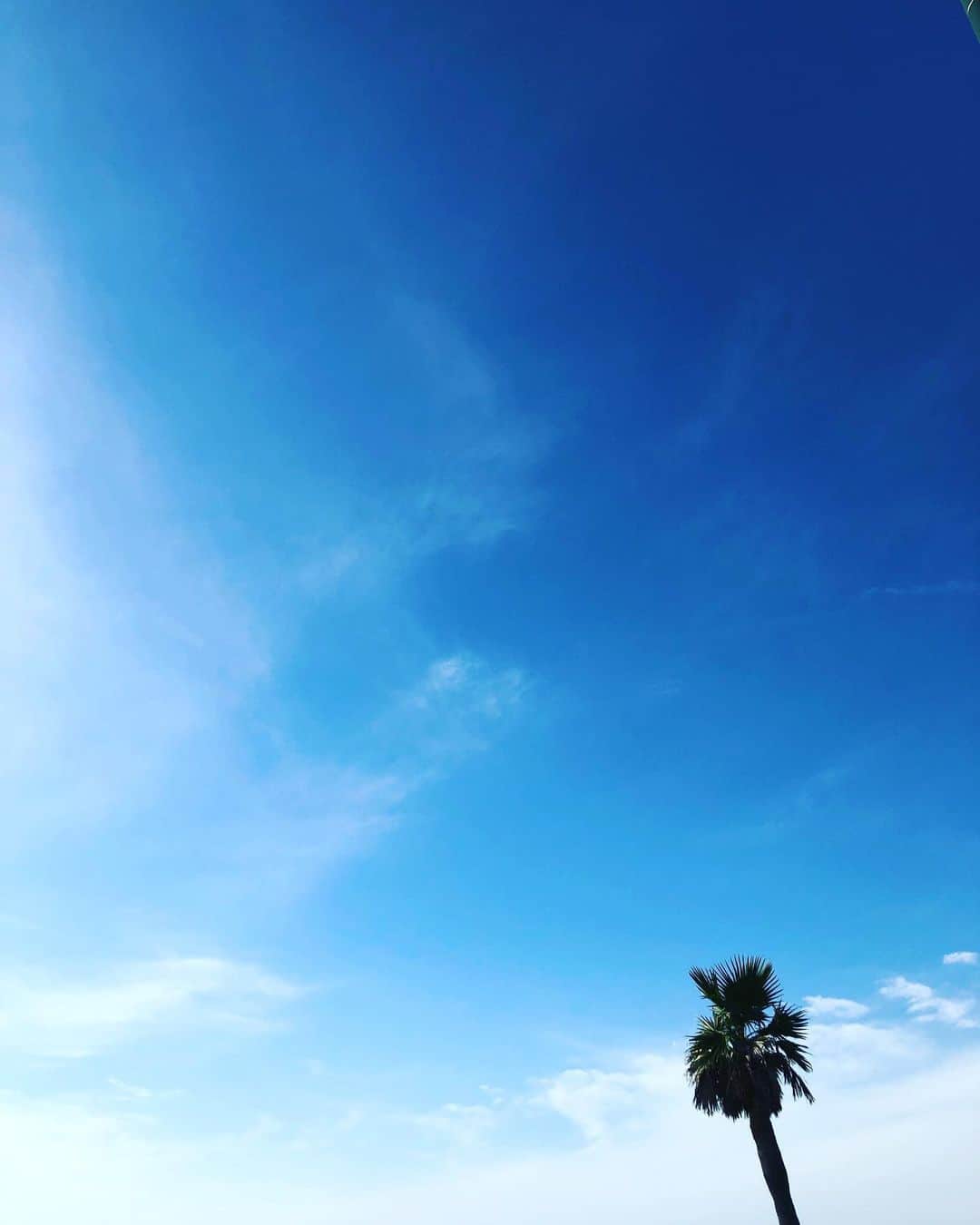 yukaのグルメインスタ