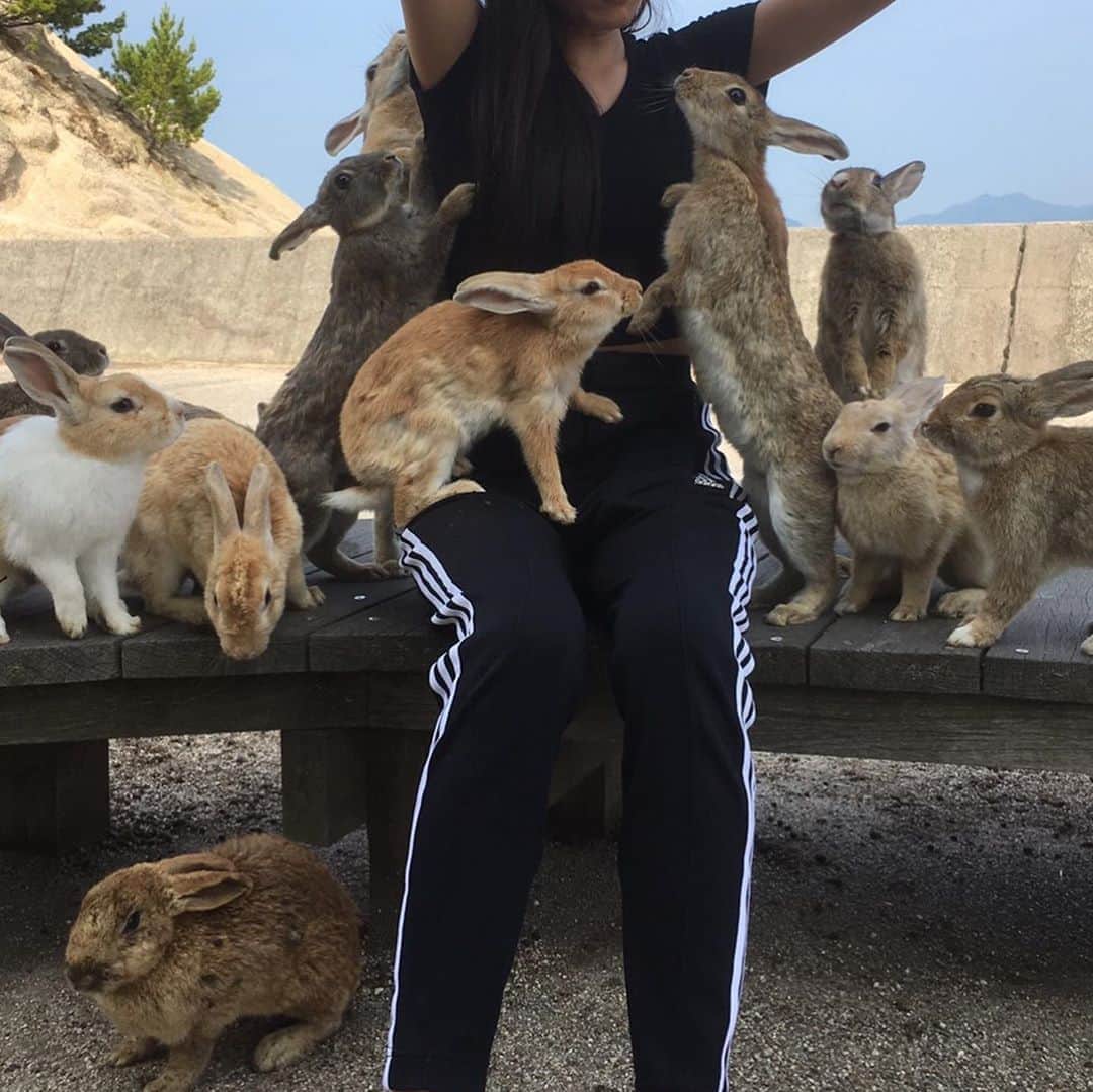 小島瑠璃子さんのインスタグラム写真 - (小島瑠璃子Instagram)「🐇 うさぎ好き憧れの島 大久野島💕 かわいすぎる。。 3枚目の人間は私です。 癒されたー🐰」7月17日 18時28分 - ruriko_kojima