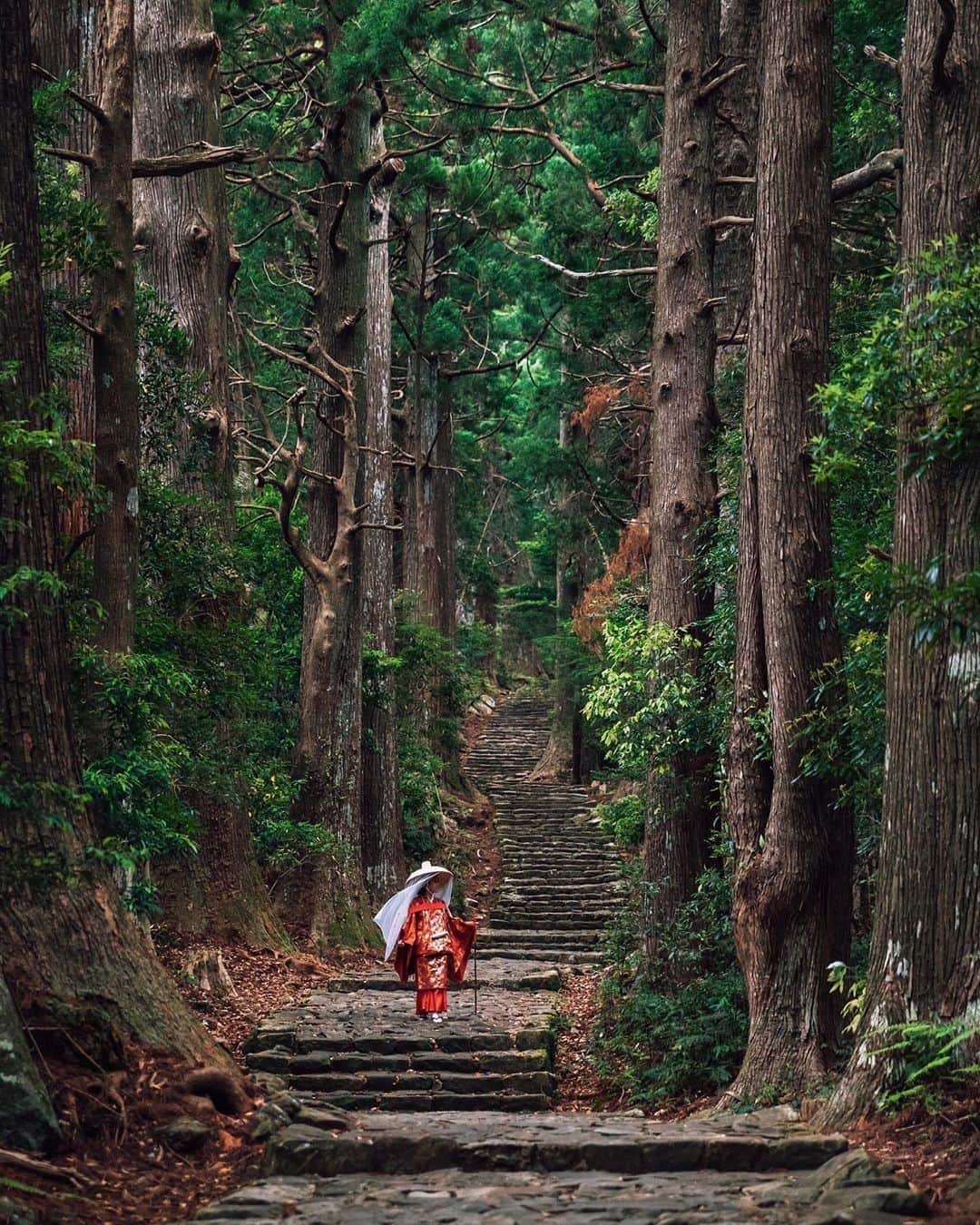Visit Wakayamaさんのインスタグラム写真 - (Visit WakayamaInstagram)「.﻿ Walk in the footsteps of emperors and pilgrims of the Heian period (794-1185) ﻿ along this UNESCO World Heritage route. ﻿ 📸: @skipwithgrace」7月17日 19時01分 - visitwakayama
