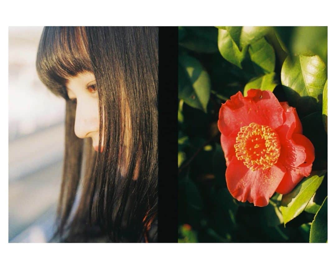 Tamakiさんのインスタグラム写真 - (TamakiInstagram)「#film #35mm」7月17日 19時23分 - n_tamaki