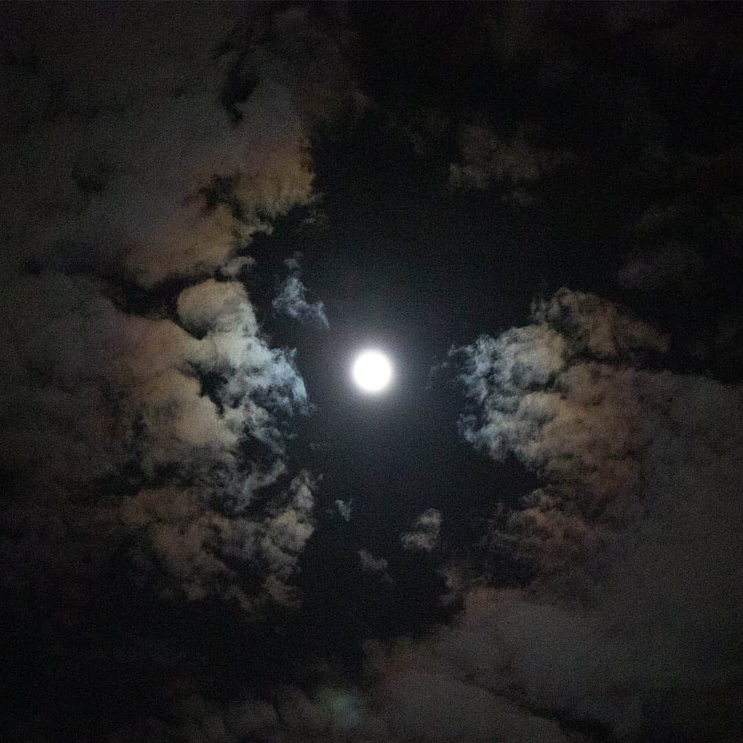 DECENCIA(ディセンシア)のインスタグラム：「「夏は夜。月のころはさらなり。やみもなほ、蛍の多く飛びちがひたる。また、 ただ一つ二つなど、ほのかにうち光りて行くもをかし。雨など降るもをかし。」 ・ はるか昔、平安の頃、清少納言は夏の美しさをこのように記しています。 ・ どんな天候でも、満月も新月も、雨の夜であっても、「をかし」とその美点を見つけ出す達人、清少納言のまっすぐな感性を現代で言う「エモーショナルな様（エモい）」という感覚に近いと捉えると、たとえ今夜の空が、厚い雲に覆われていたとしても同じ景色にも、深みが出てくる気がしませんか？ ・ 2019年7月17日 06:38　月齢14.3 今、私たちのはるか上空には、満月が浮かんでいます。 ・ //////// Photo : @namiko_kitaura_photography #夏 #夜 #空 #月 #summer #night #moon #清少納言 #をかし #満月 #新月 #感性 #エモーショナル #雲 #景色 #landscape #上空 #敏感肌はどこまでも美しくなれる #DECENCIA #decencia #ディセンシア #敏感肌 #化粧品 #研究 #現代女性 #スキンケア #敏感肌スキンケア #敏感肌化粧品 #敏感肌コスメ #肌ケア」