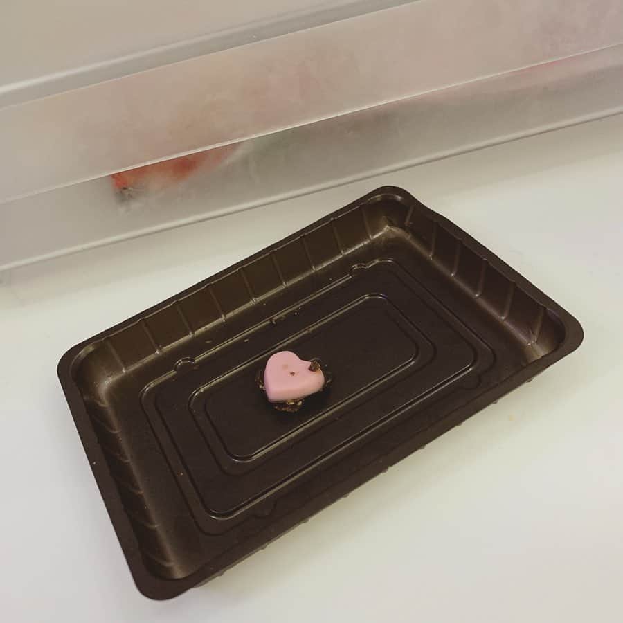 門脇舞以さんのインスタグラム写真 - (門脇舞以Instagram)「「ハートがとれたら恋が実るんだって！！」 #5歳7ヶ月 #チョコの実だもの #わくわくと冷蔵庫に保存 #恋イコール #にゃんこ大戦争でつよくなれますように #の予感」7月17日 10時53分 - kadomaita