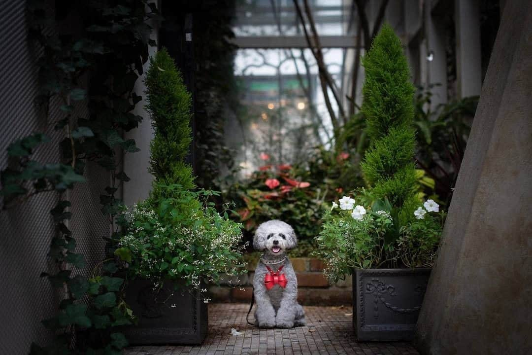 東京カメラ部 横浜分室さんのインスタグラム写真 - (東京カメラ部 横浜分室Instagram)「Photo by @kanbai2462⠀ 「元町」⠀ https://www.instagram.com/p/Bz9mk2CAvwl/⠀ .⠀ いいね！＆コメント大歓迎！⠀ ※投稿に関するご注意・ポリシーは東京カメラ部に準じます。詳しくは下記をご覧ください。⠀ http://app.minpos.com/fb/willvii/camera_jpn/static/guideline⠀ .⠀ #みなとみらい線フォト散歩 #みなとみらい線フォトさんぽ #みなとみらい線 #横浜 #新高島 #みなとみらい #馬車道 #日本大通り #元町中華街 #yokohama #東京カメラ部 #Japan #photo #写真 #日本⠀ Follow: @TCC.Yokohama」7月17日 11時00分 - tcc.yokohama