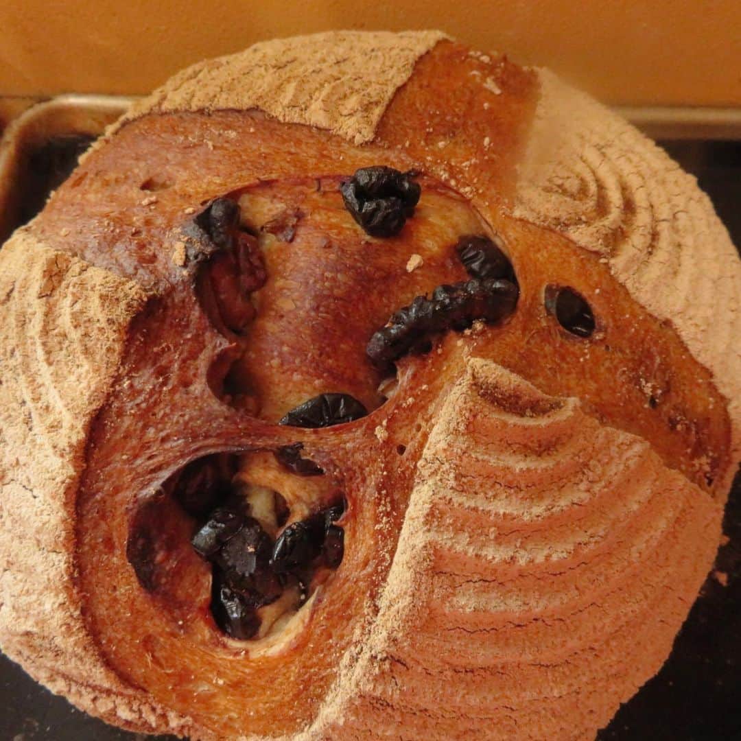 魔女菅原のグルメインスタ