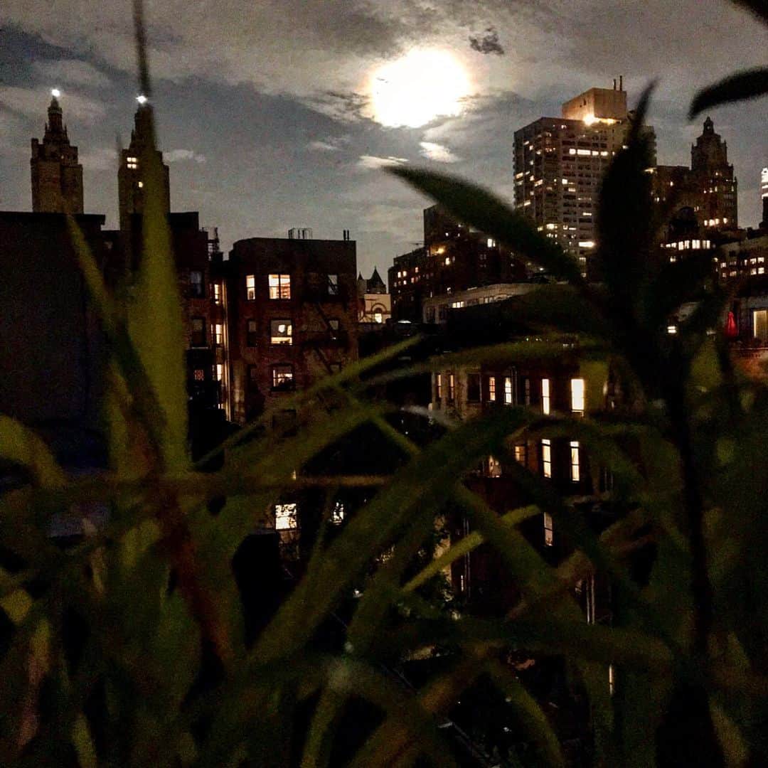 JULIEN D'YSさんのインスタグラム写真 - (JULIEN D'YSInstagram)「#fullmoon #eclipse 16.17 july 19 night#magic moon 🌚 #newyork #beautynature#sky#constellations ⭐️⭐️⭐️⭐️🌎✨🌟⭐️💫⭐️⭐️⭐️⭐️⭐️⭐️⭐️🌎#newyorksummer 💥☄️」7月17日 11時42分 - juliendys