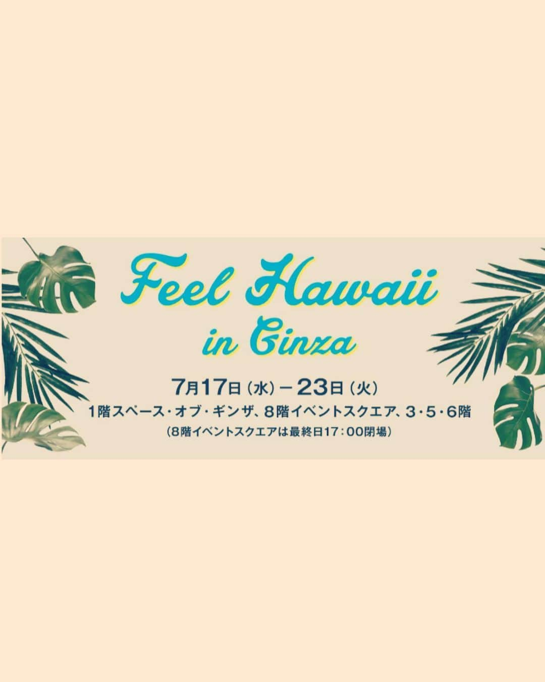 Lilly and Emmaさんのインスタグラム写真 - (Lilly and EmmaInstagram)「. . 🌿Feel Hawaii in Ginza🌿 . Lilly&Emmaも出店中⭐️ . 是非遊びに来て下さい🎶 . #lillyandemma #hawaii #feelaloha #vsco #vso #vscocam #love #happy #feelhawaii #matsuyaginza #tshirt #ハワイ #Tシャツ #松屋銀座 #ハワイ好き #ハワイ好きな人と繋がりたい」7月17日 11時50分 - lilly_emma_hawaii