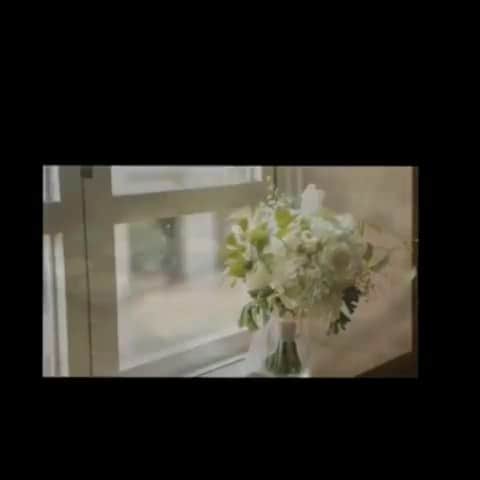 メゾン エルミタージュのグルメインスタ