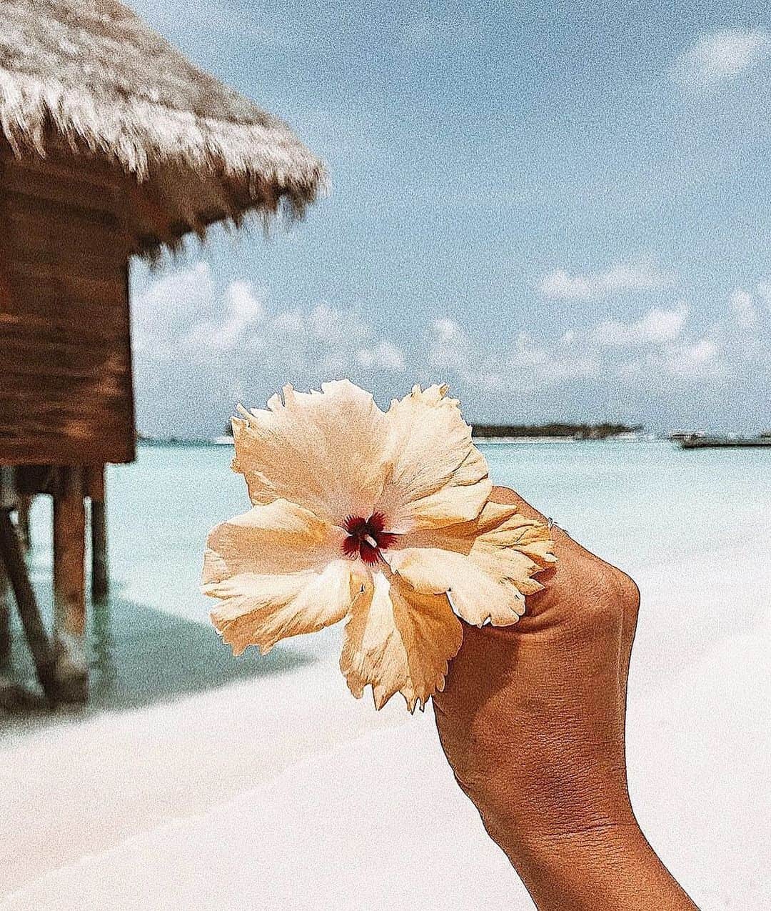 Airi Shibuyaのインスタグラム：「久しぶりのお天気うれし〜🌞❤️ . お出かけしたいけど今日もお仕事がんばろう🤓🤓✨ . #summer#happy#instalove」