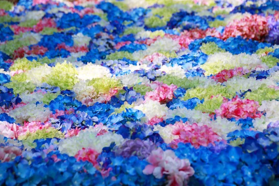 vo_coのインスタグラム：「☁️ ジメジメむしむしするので 先週の紫陽花 これにて雨引観音の紫陽花写真は在庫切れです😙 * #紫陽花 #アジサイ #侘び寂び #雨引観音」