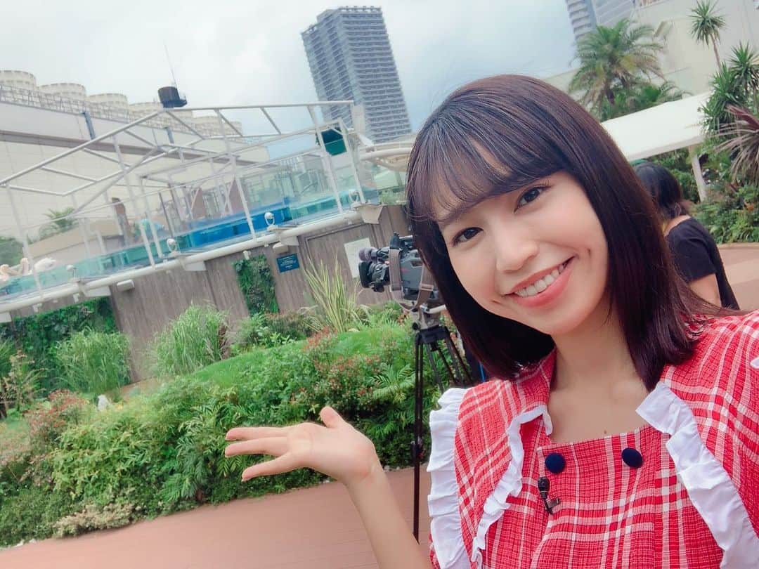 夏江紘実さんのインスタグラム写真 - (夏江紘実Instagram)「・ 本日15:04頃〜テレビ朝日『こだわりナビ』放送です！ ・ 今週はサンシャイン水族館からお届けですよ🏃‍♀️🐠🏝🐧❤️ 天空のペンギン、アシカのパフォーマンスなど是非チェックしてくださると嬉しいです😆✊📺 ・ ・ ・ #photo #photogram #photography #picture #picstagram #instapic #ootd #offshot #instalike #followme #instagood #instafashion #instacode #サンシャイン水族館 #池袋」7月17日 13時26分 - kaehiromi