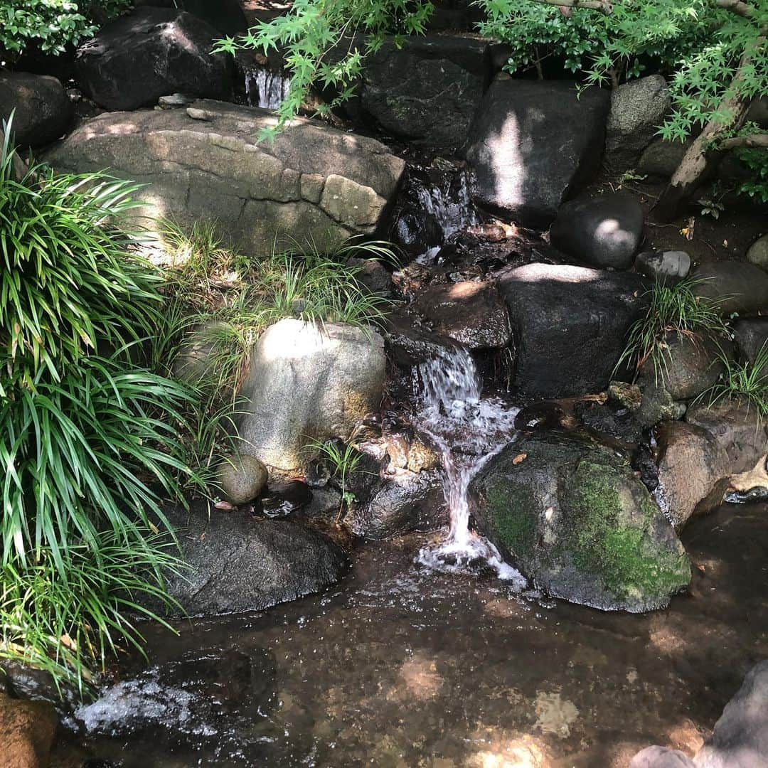 八芳園のインスタグラム