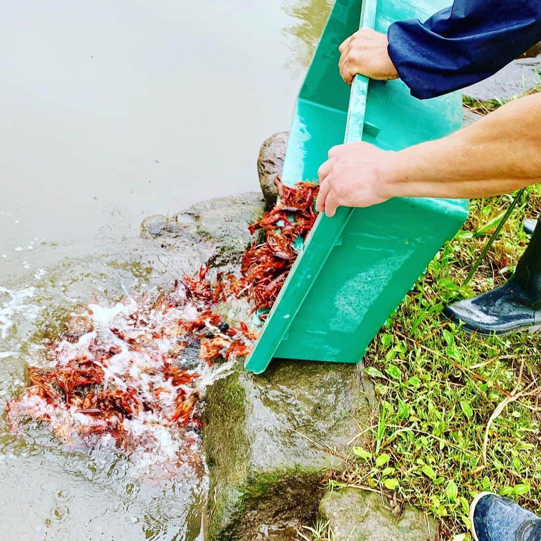 道の駅やちよのグルメインスタ