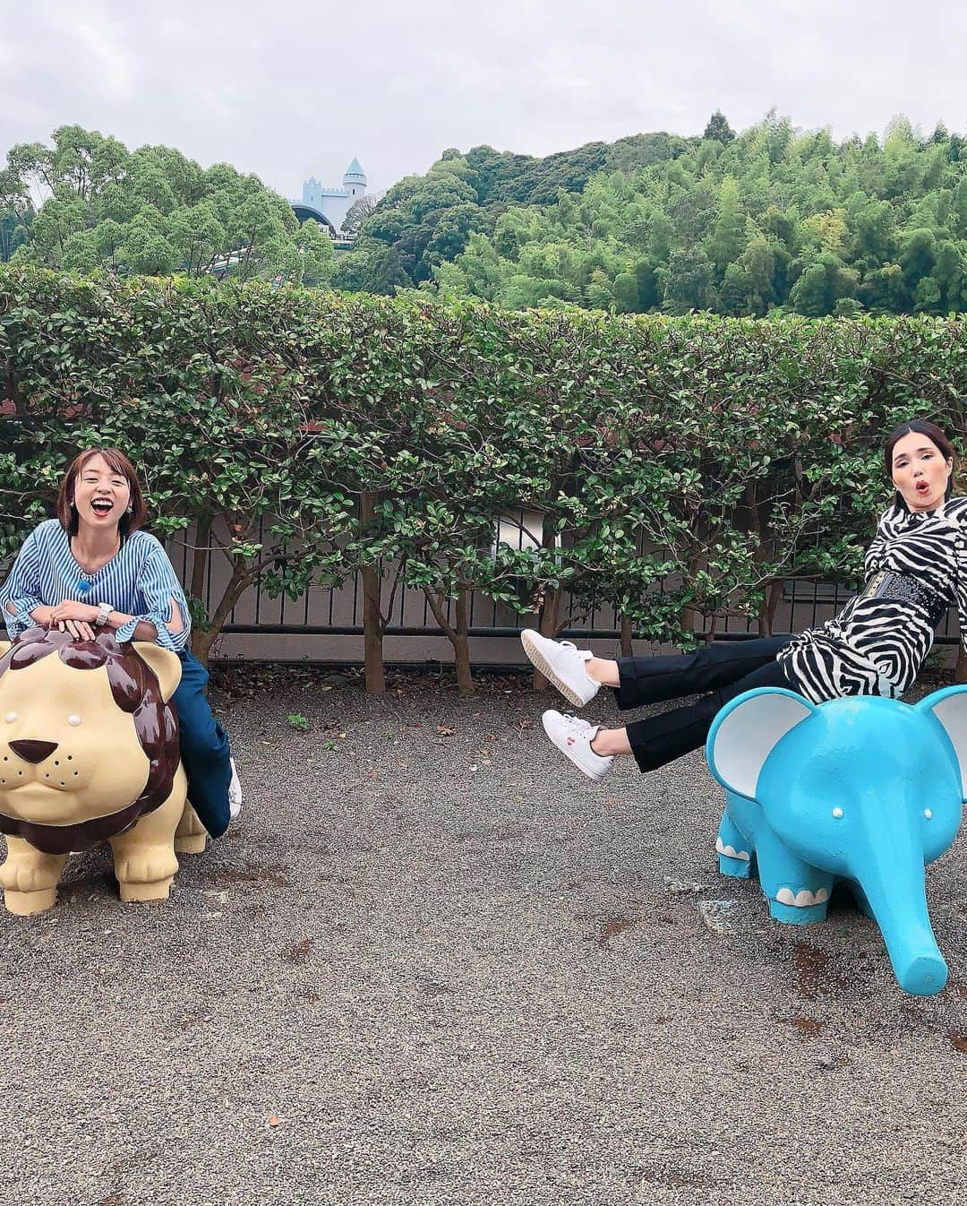 平野ノラさんのインスタグラム写真 - (平野ノラInstagram)「🦒🦓🐘🐂🦍🐅🐃🐆🦜🐿💕🌲 #静岡 #第一テレビ #まるごと #まるごとツイート #毎週金曜日 #おったまげ調査隊 #観るっきゃないゾ #鳥越アナ  #平野ノラ #okバブリー」7月17日 14時09分 - noranoranora1988