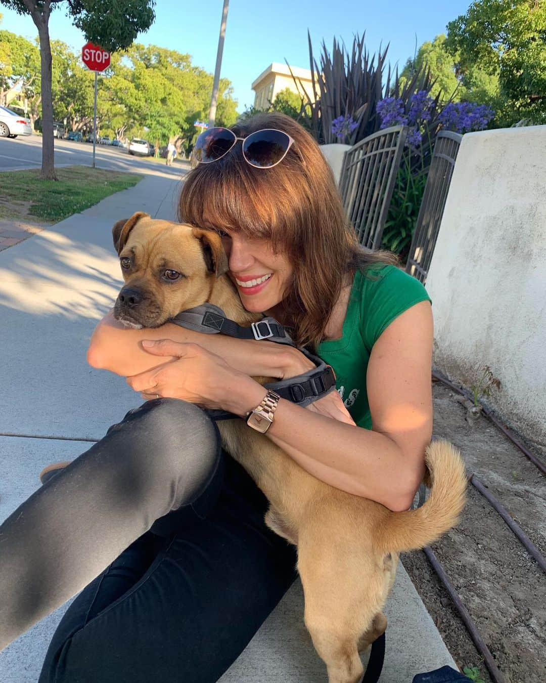 エミリー・スワローさんのインスタグラム写真 - (エミリー・スワローInstagram)「Don’t tell @normajeanmeatballs, but I’ve got a crush. (Thanks for letting me snuggle on Billie Holiday while I’m missing my girl, @pr0sebeforebros). #puppylove」7月17日 14時12分 - bigeswallz