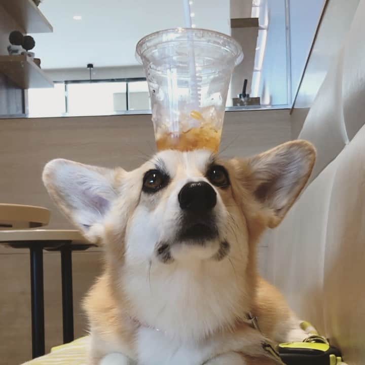 さゆりのグルメインスタ