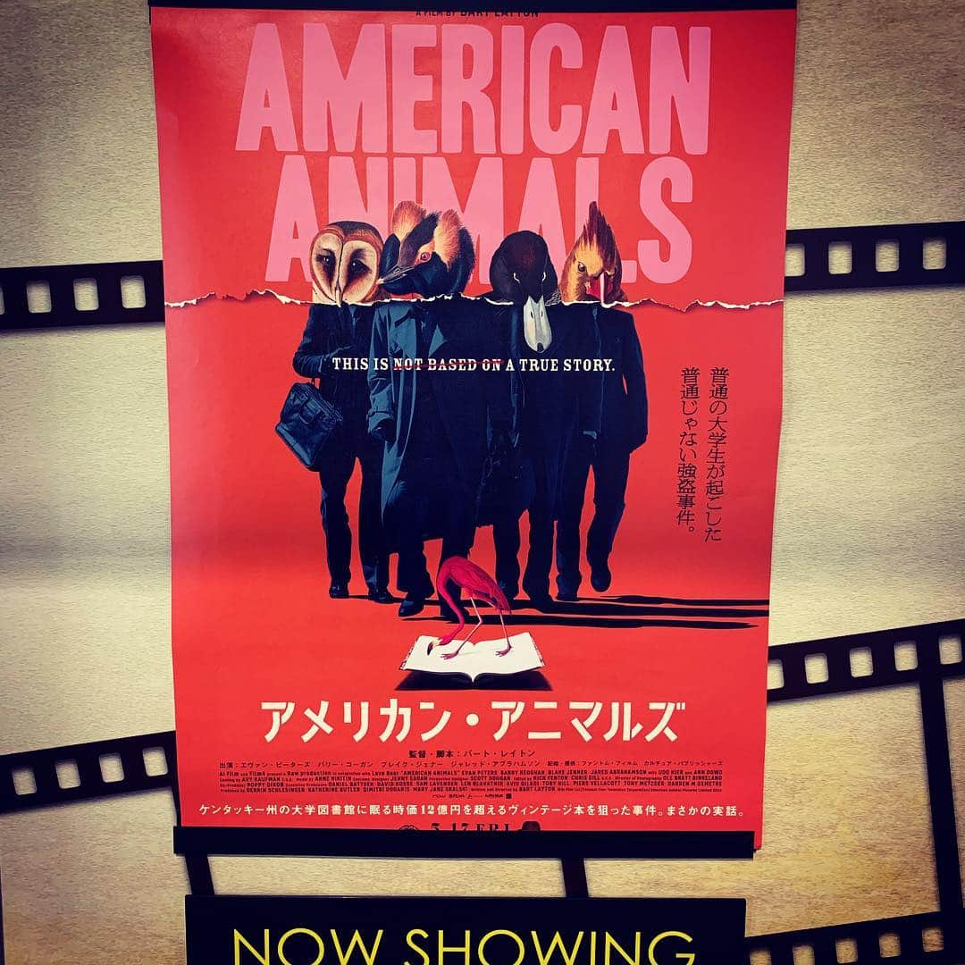 飯田カヅキさんのインスタグラム写真 - (飯田カヅキInstagram)「『アメリカン・アニマルズ』を観てきました。面白かった。好みな作品だなぁ。  #アメリカンアニマルズ #americananimals #映画 #movie #cinema」7月17日 14時54分 - kazukiiida_strange