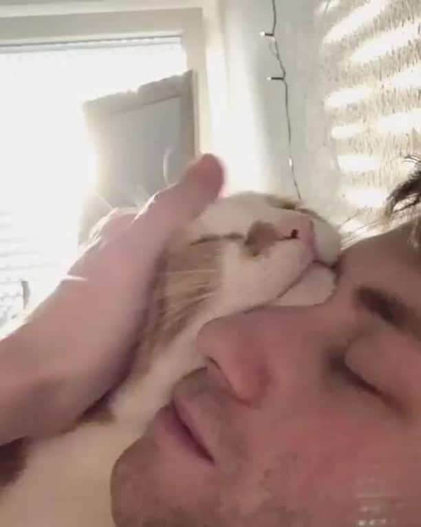 Aww Clubのインスタグラム