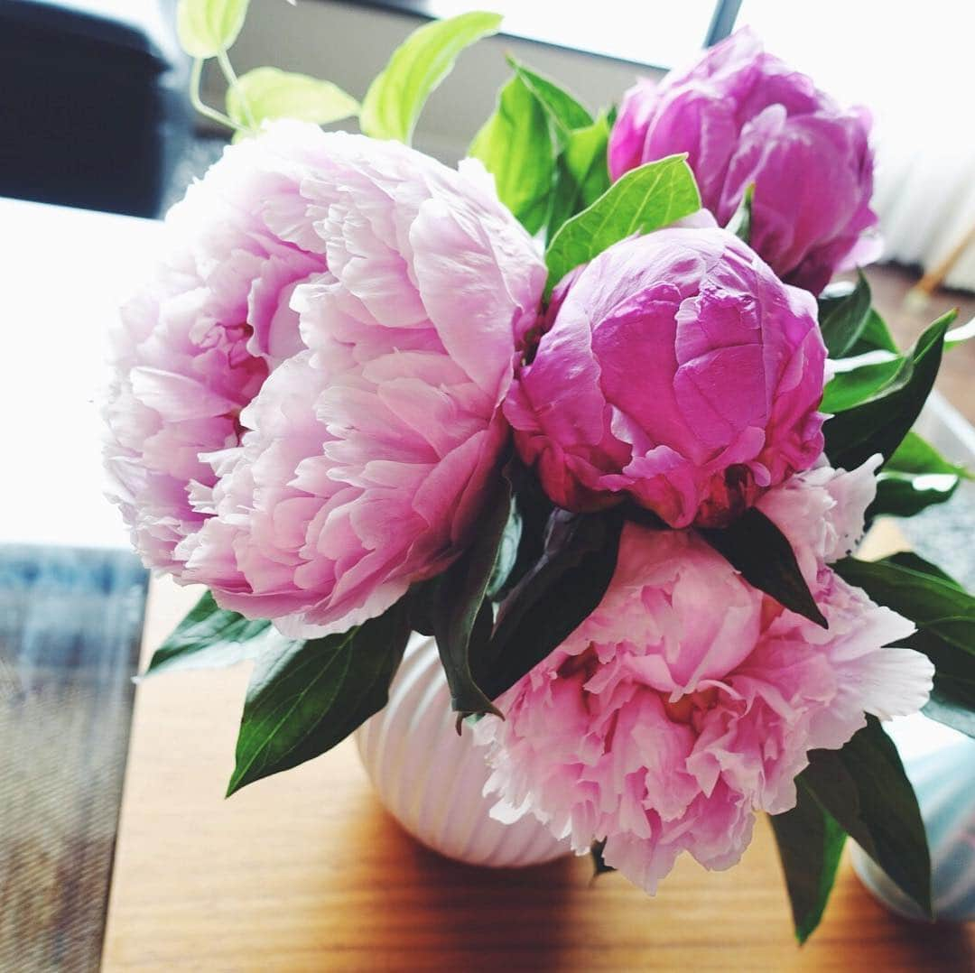 May Pakdee メイ パクディさんのインスタグラム写真 - (May Pakdee メイ パクディInstagram)「💐 #flowerbouquet from my family in Kyushu💕」7月17日 15時23分 - maypakdee